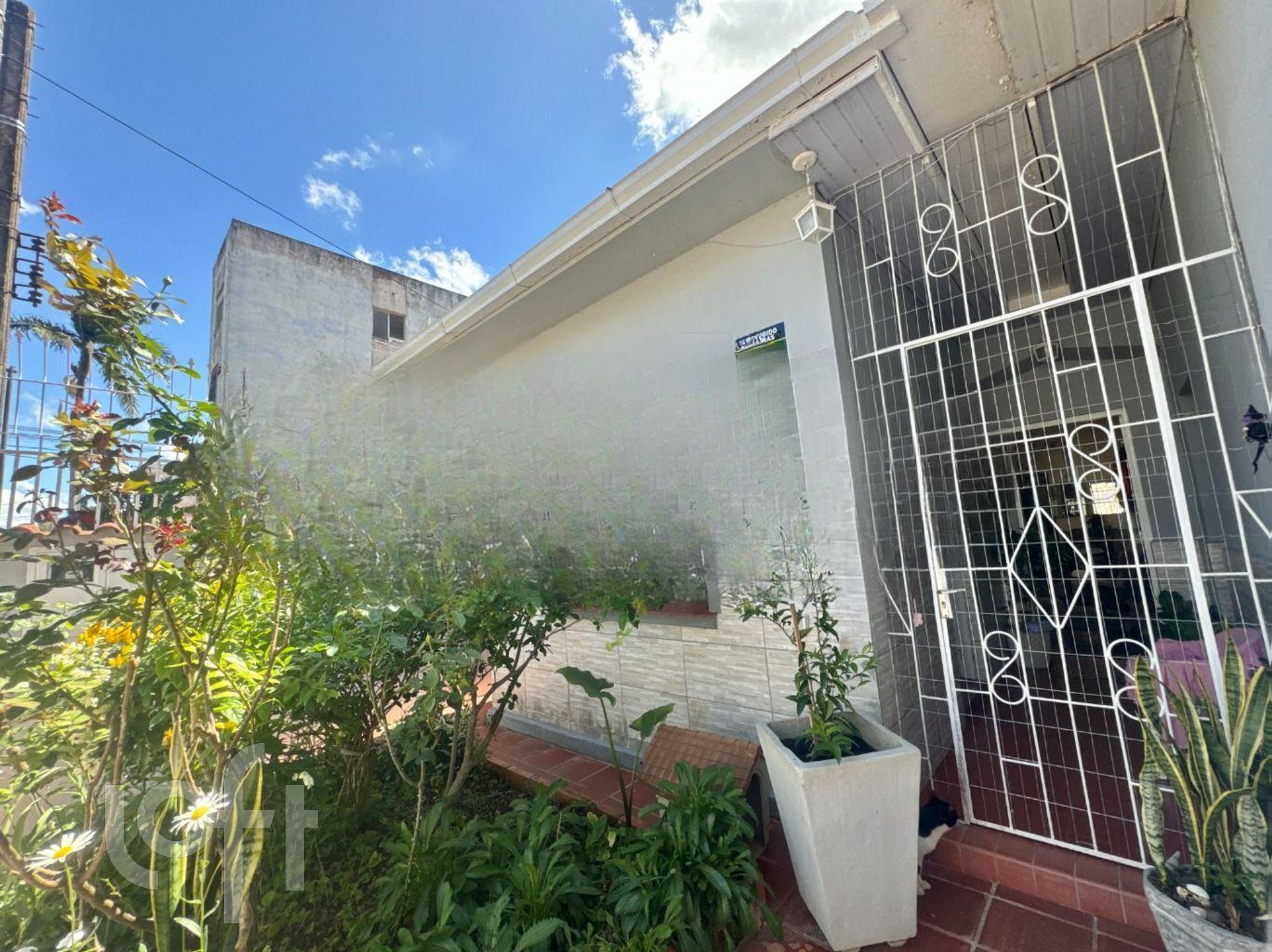 Imagem da propriedade 46