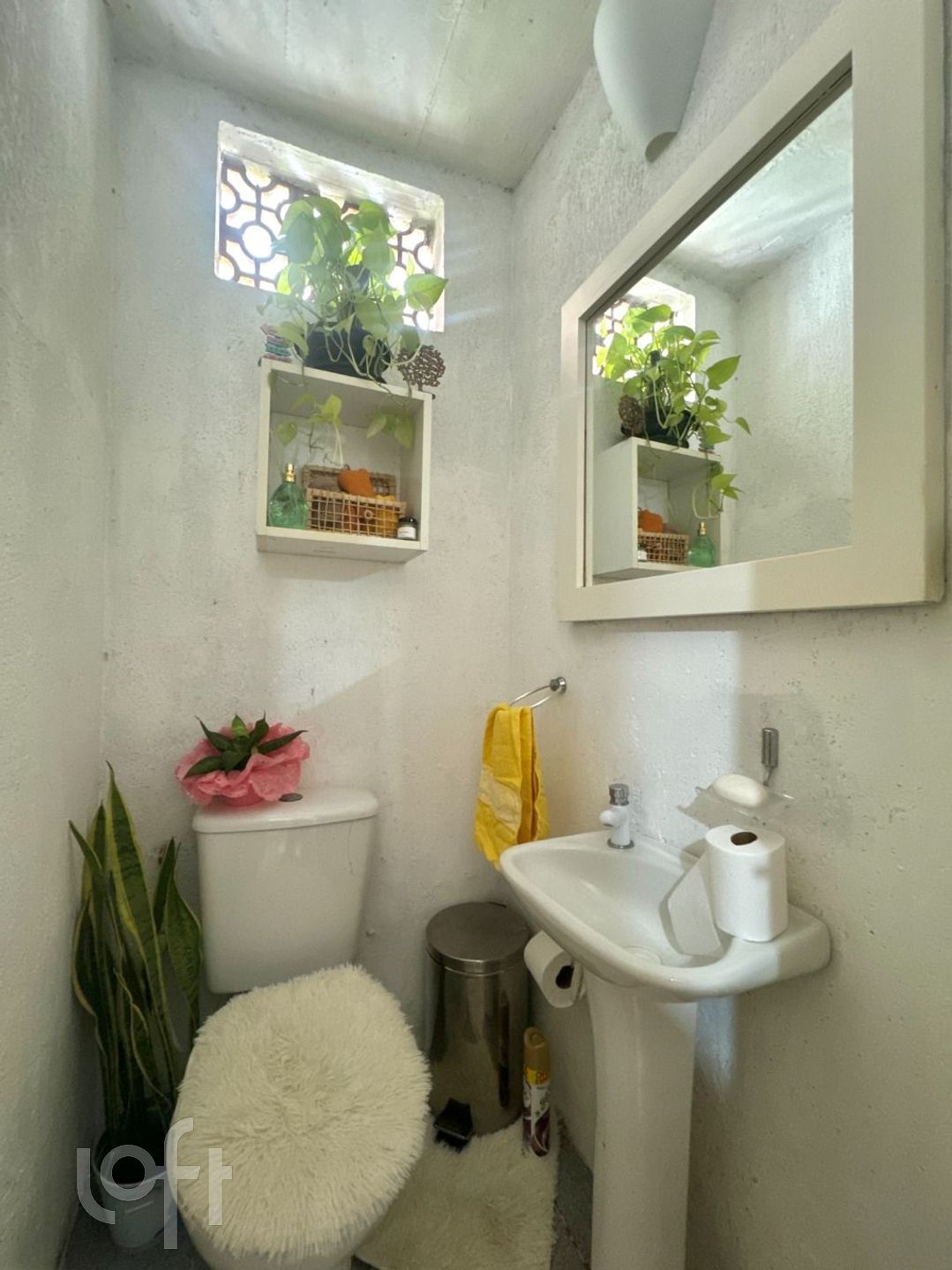 Imagem da propriedade 38