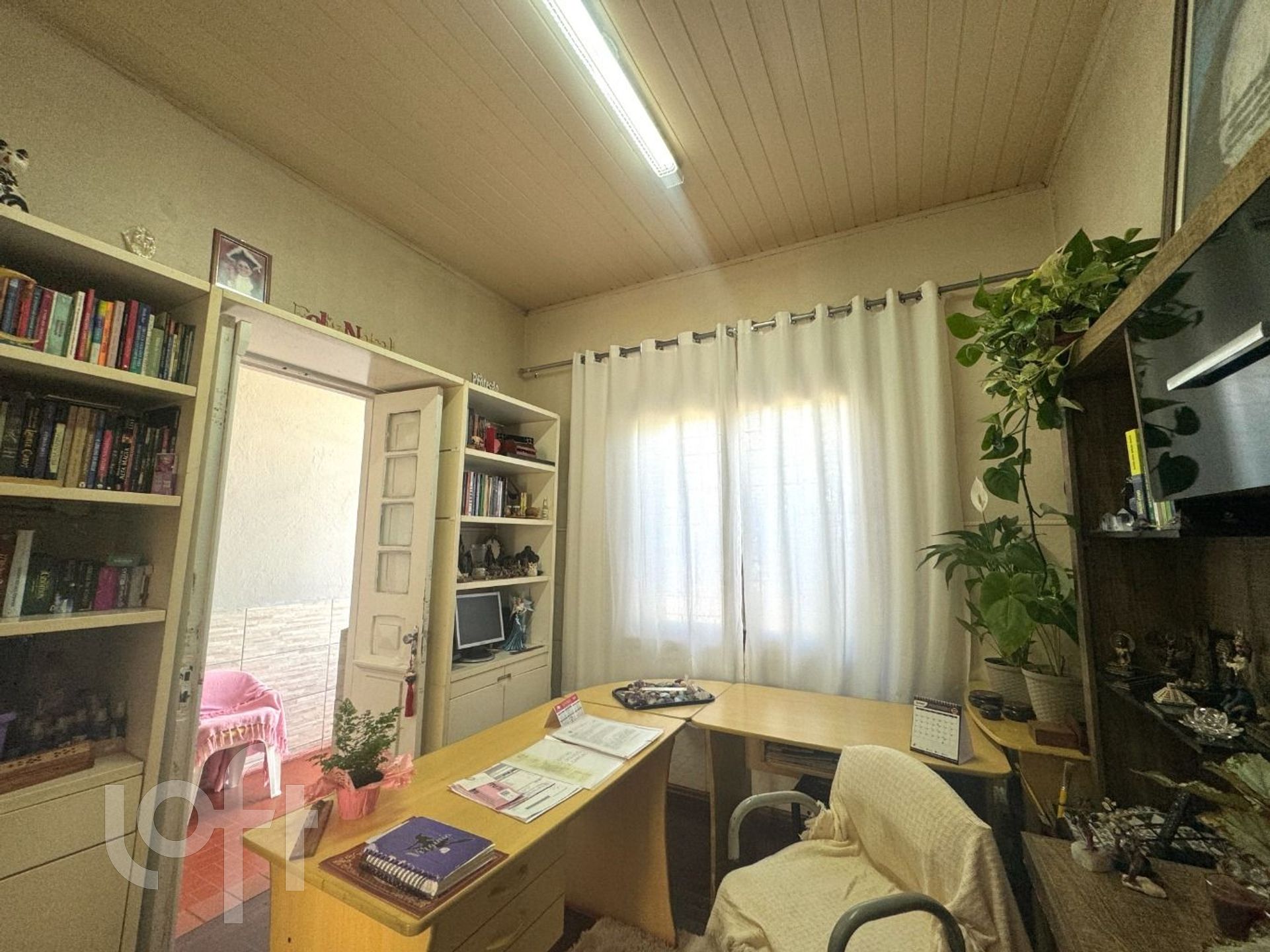 Imagem da propriedade 6