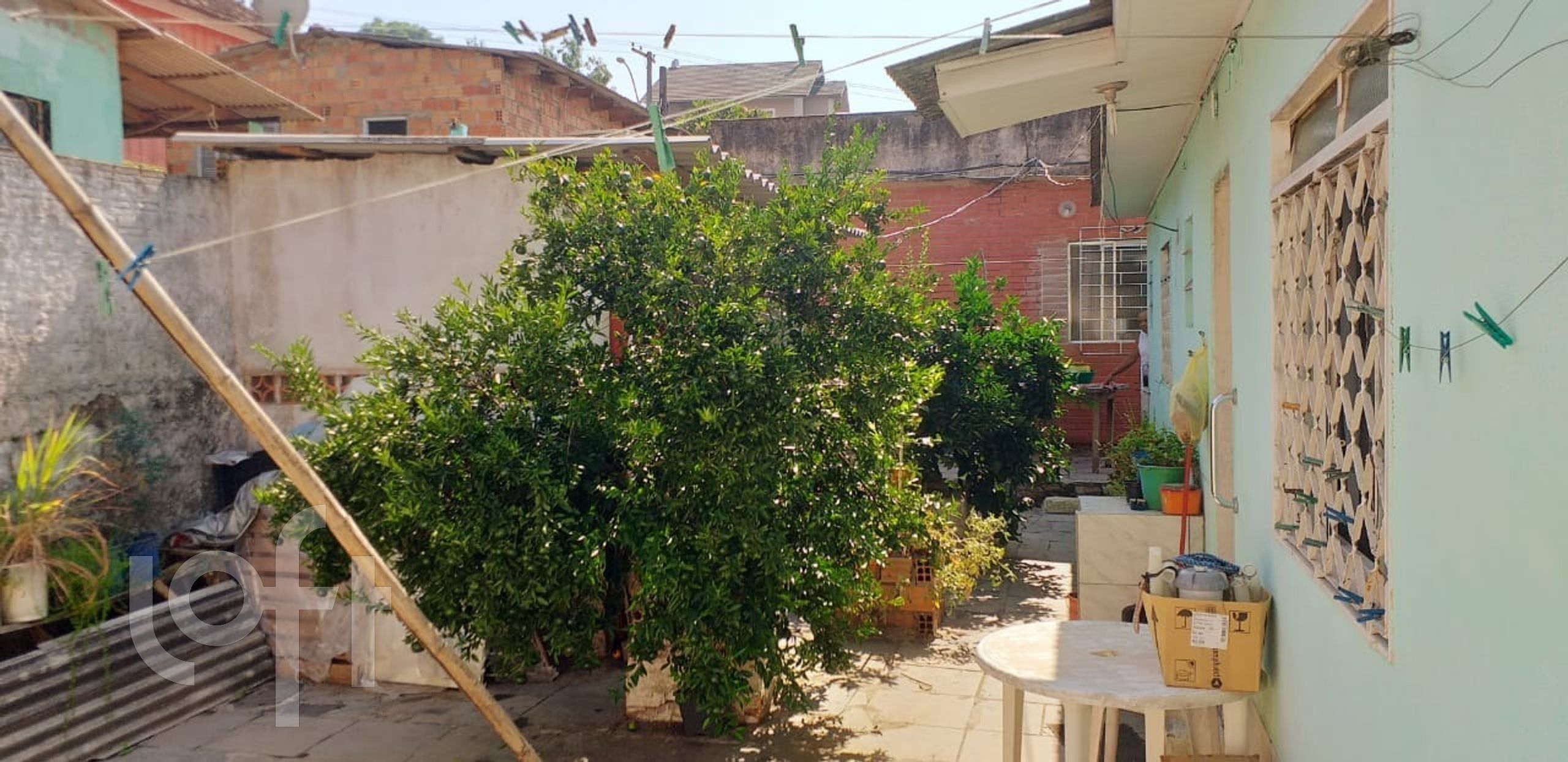 Imagem da propriedade 33