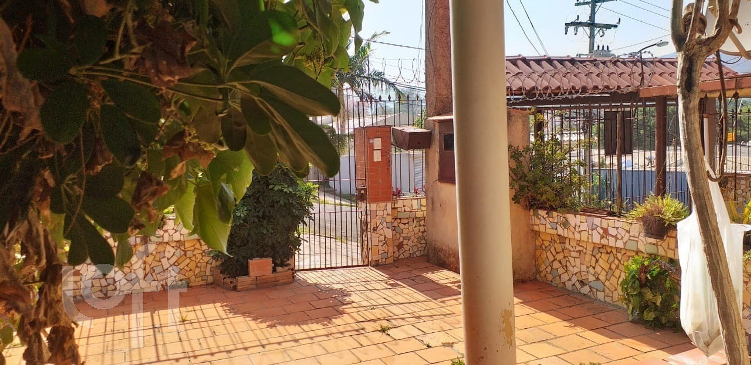 Imagem da propriedade 3