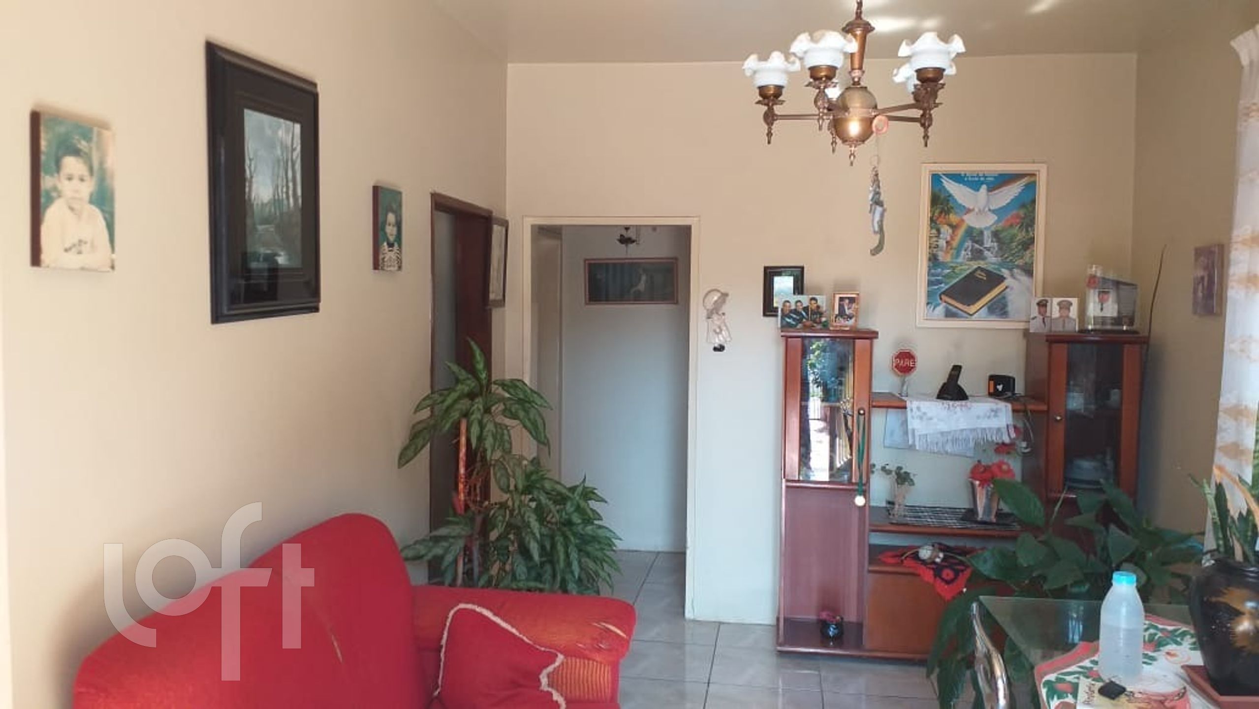 Imagem da propriedade 6