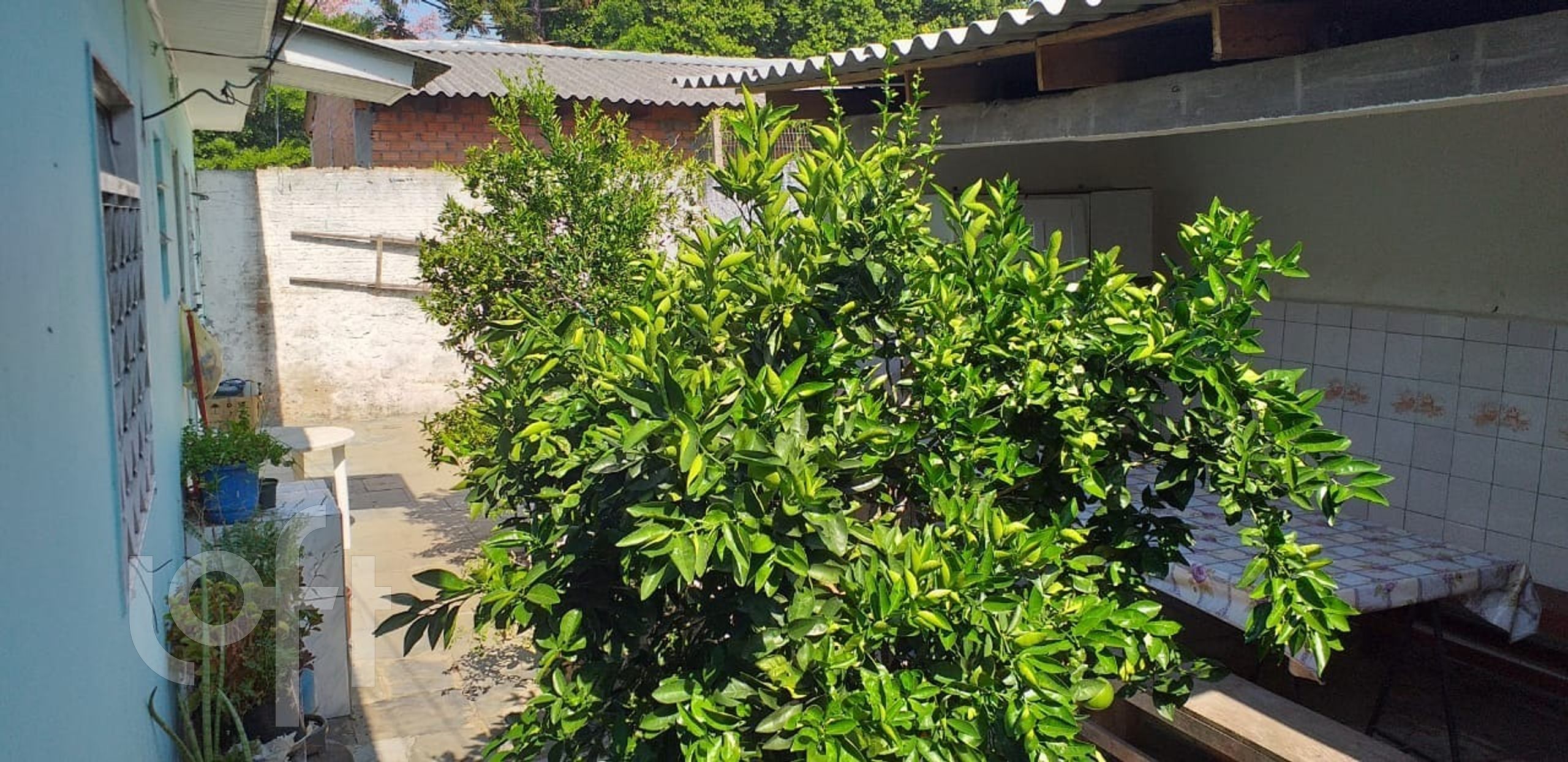 Imagem da propriedade 20