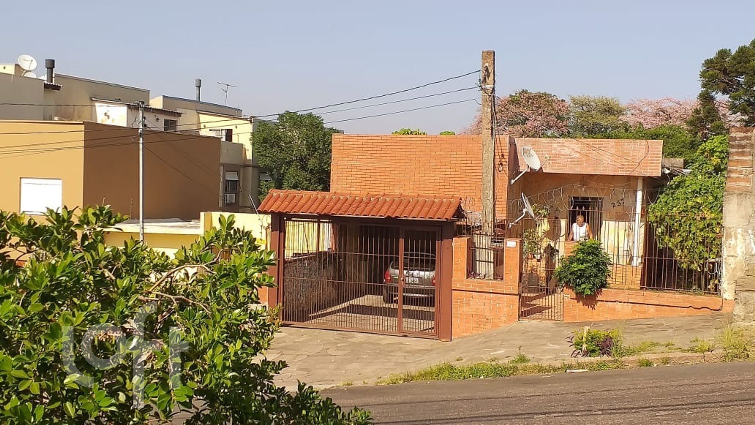 Imagem da propriedade 19