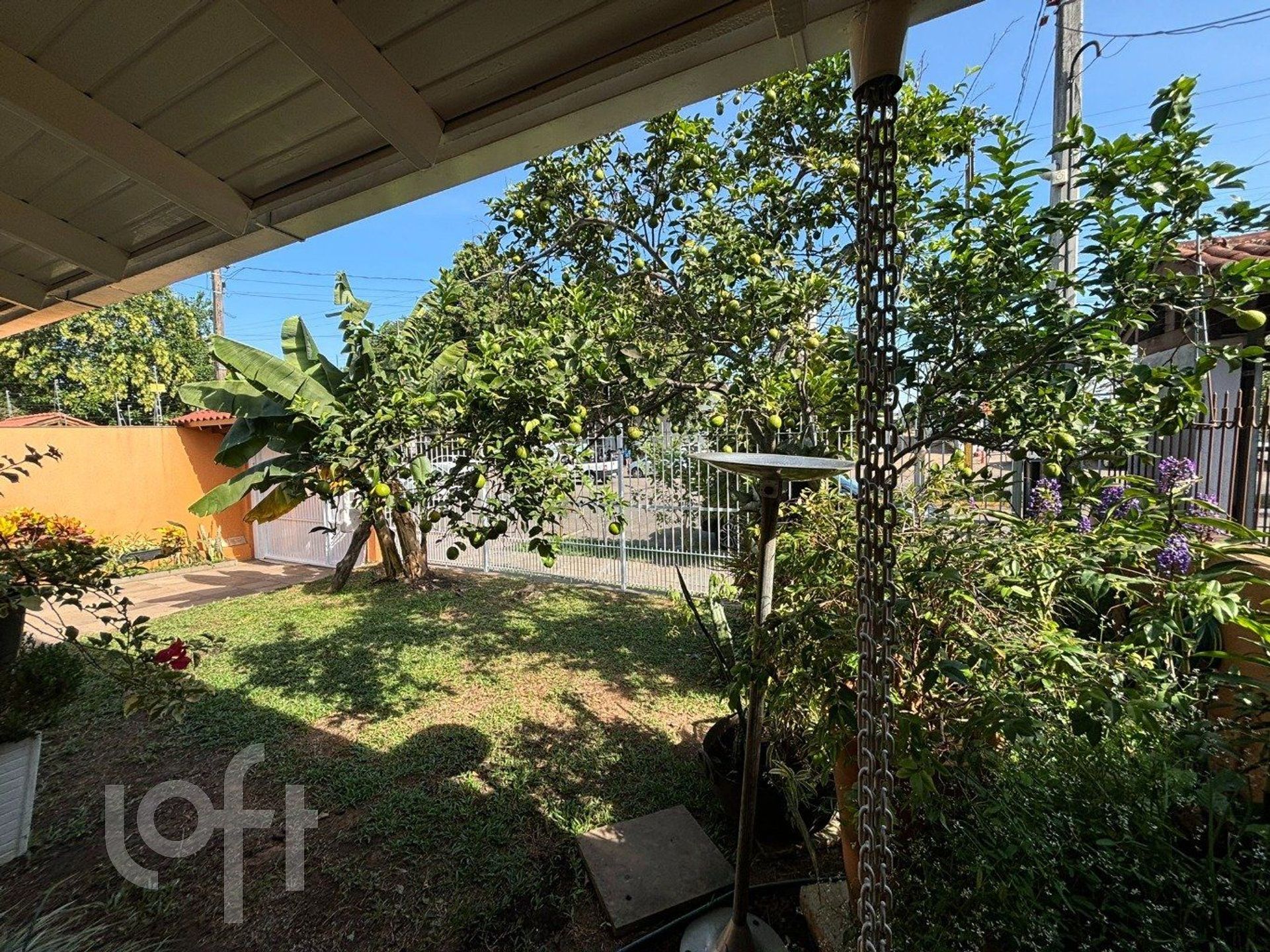 Imagem da propriedade 43