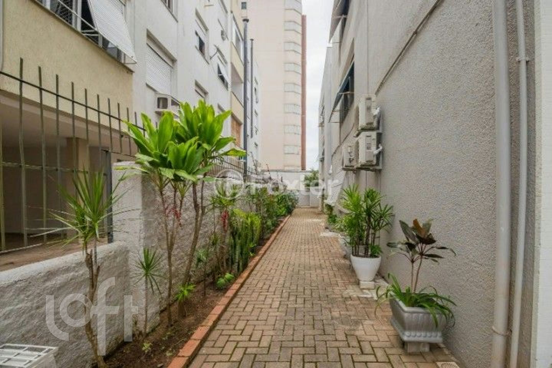 Imagem da propriedade 19