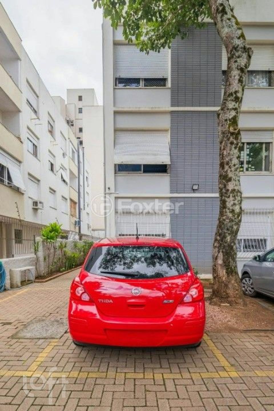 Imagem da propriedade 21