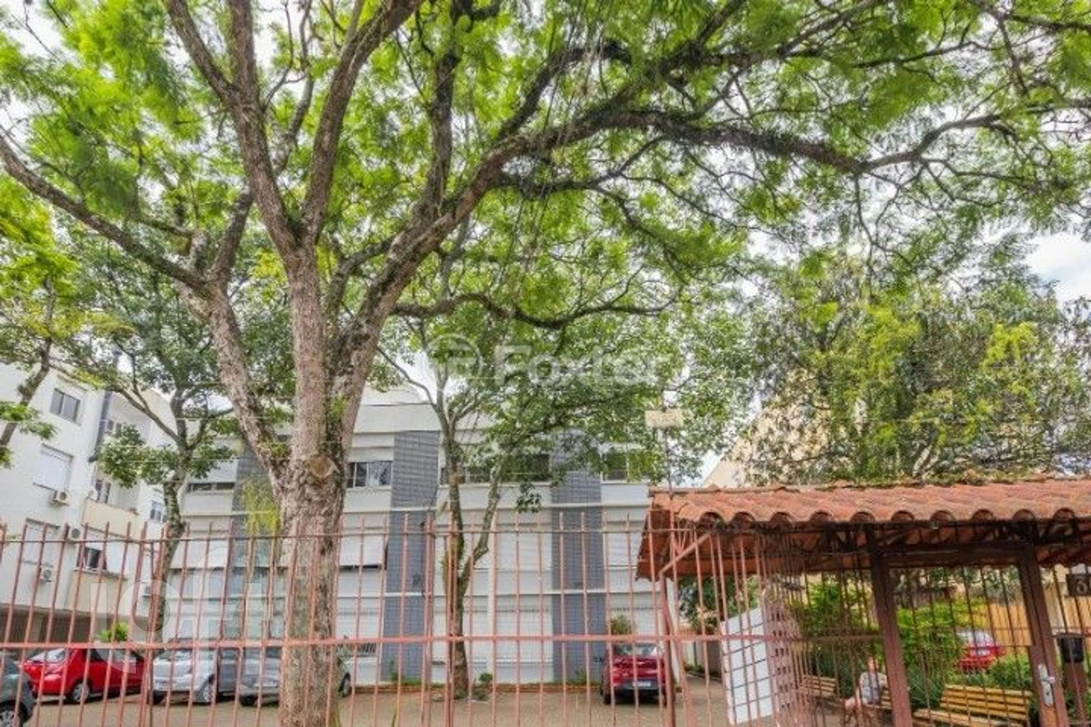 Imagem da propriedade 18