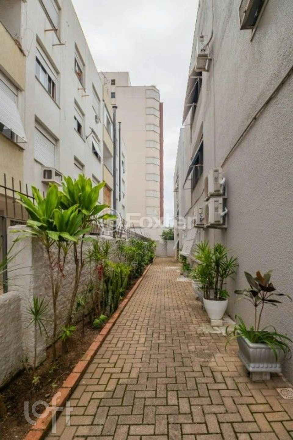 Imagem da propriedade 20