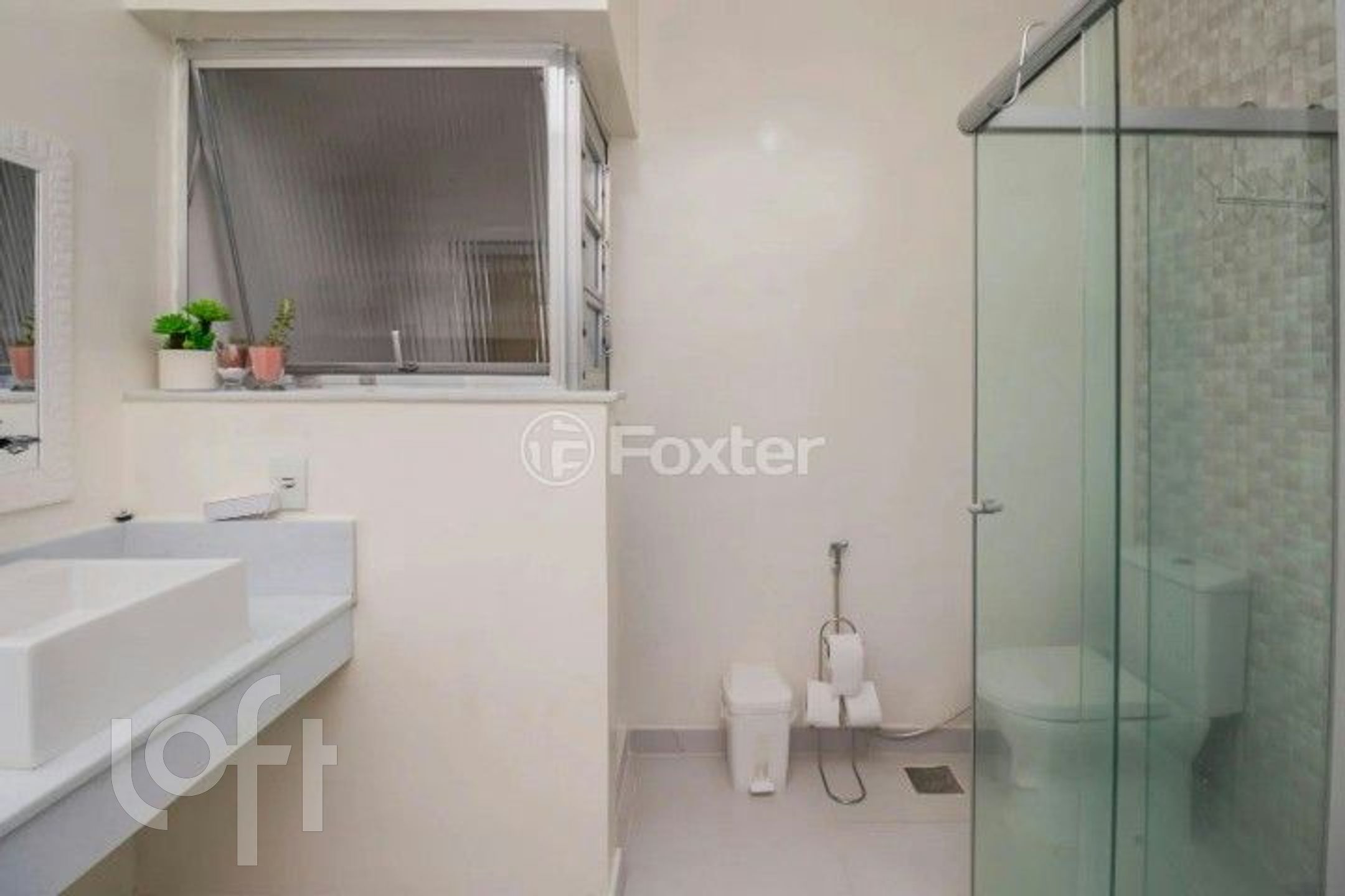 Imagem da propriedade 12