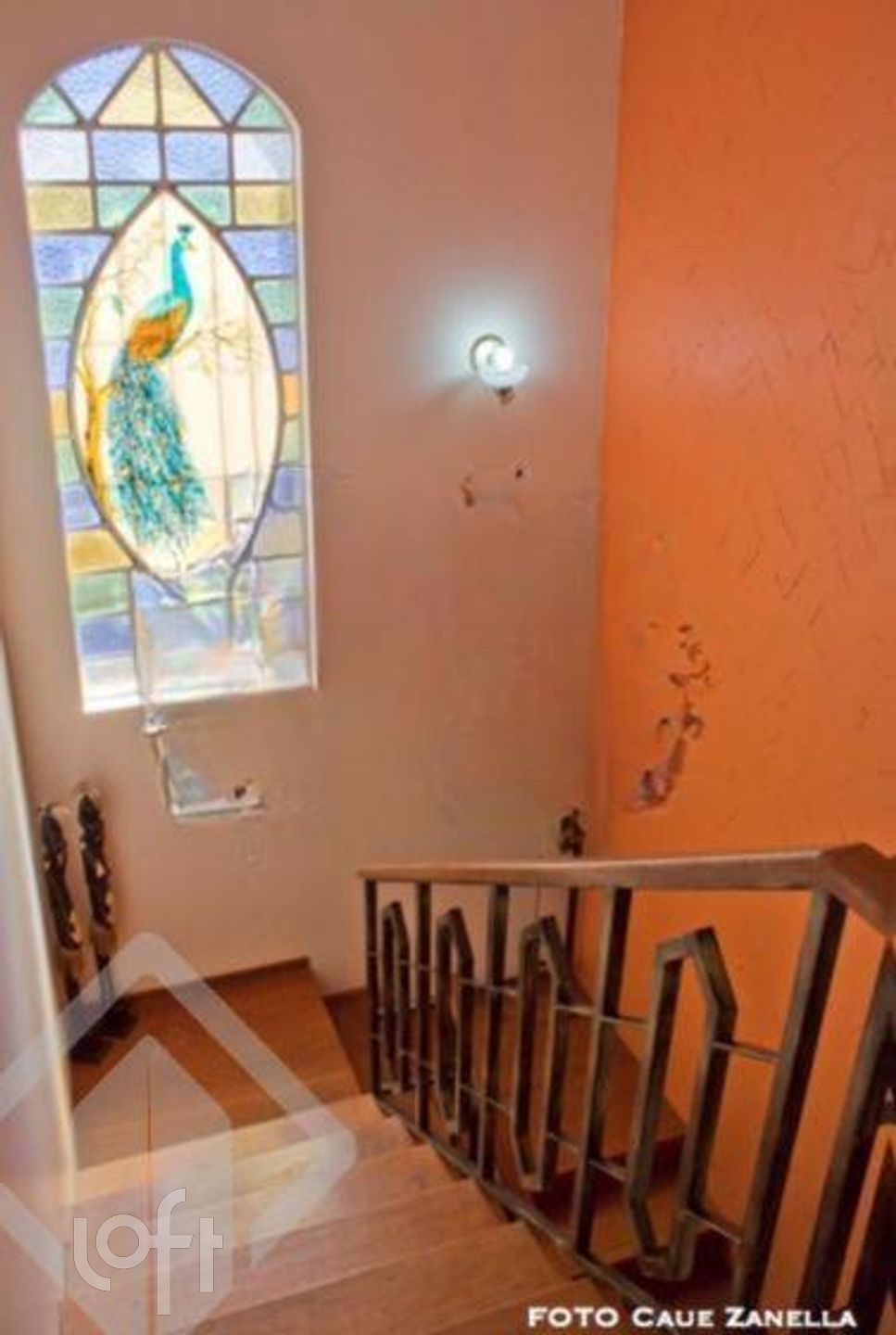 Imagem da propriedade 27