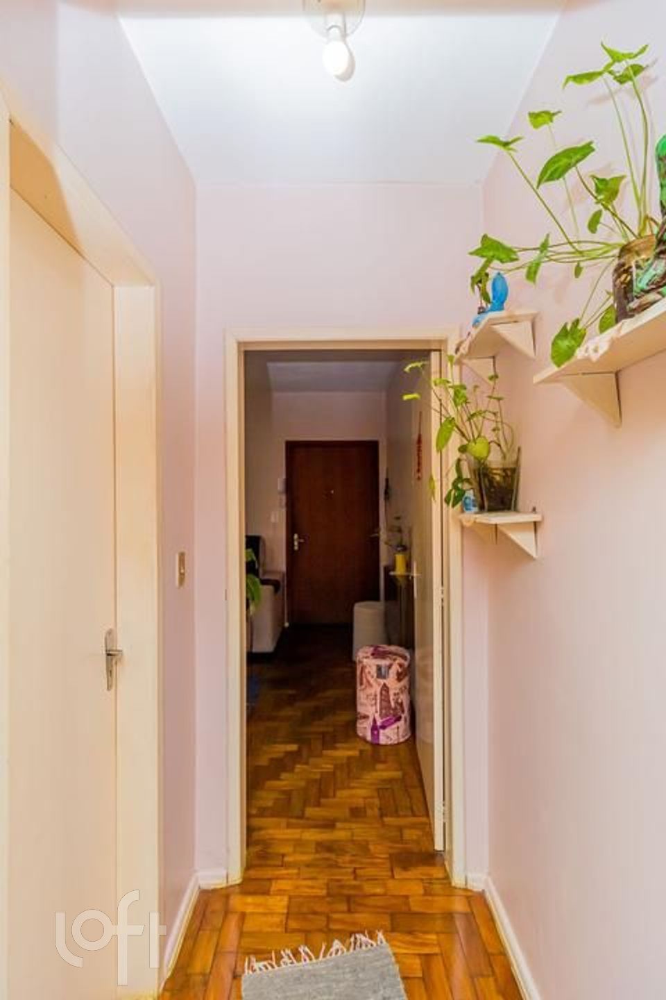 Imagem da propriedade 5