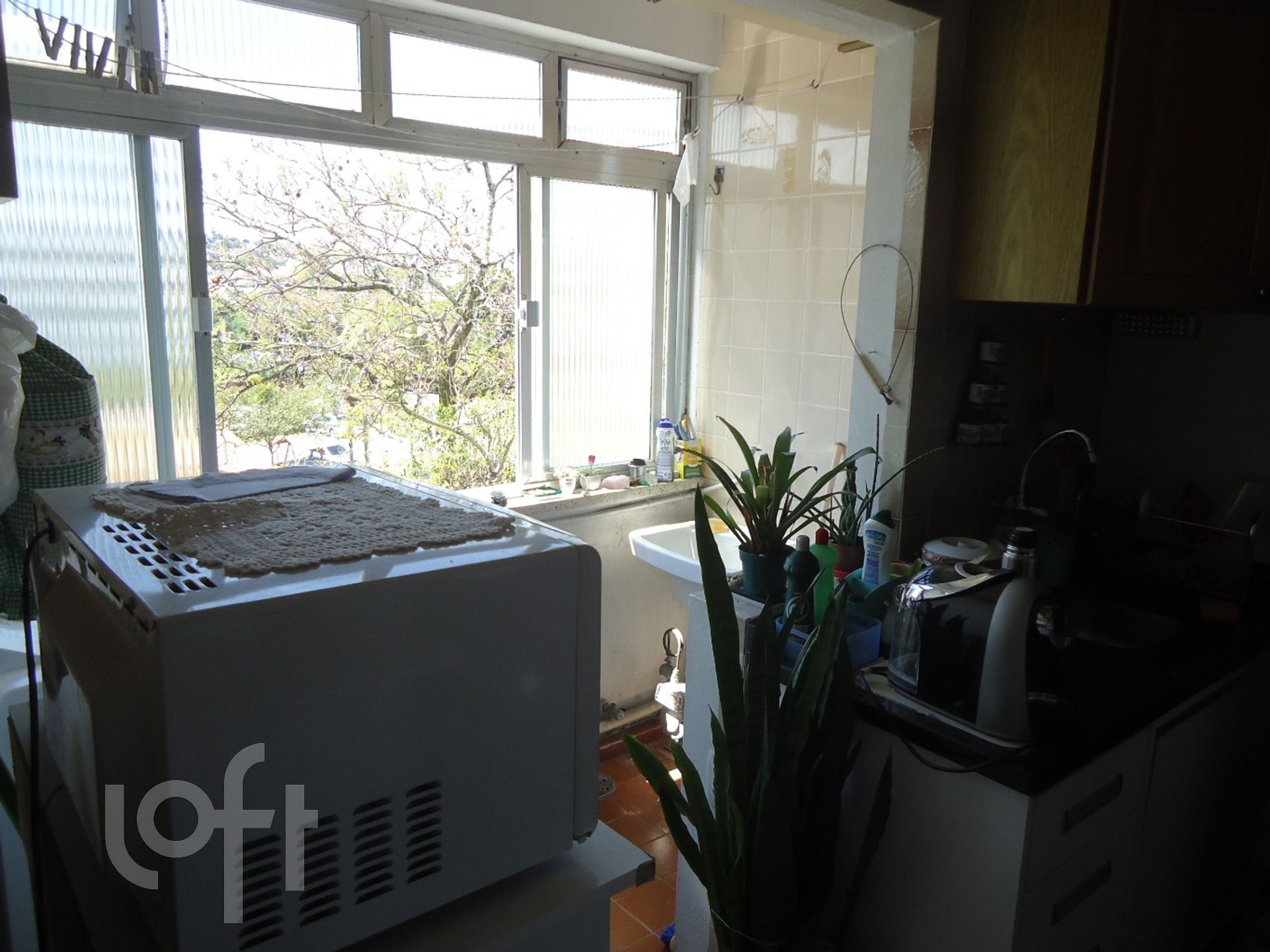 Imagem da propriedade 12