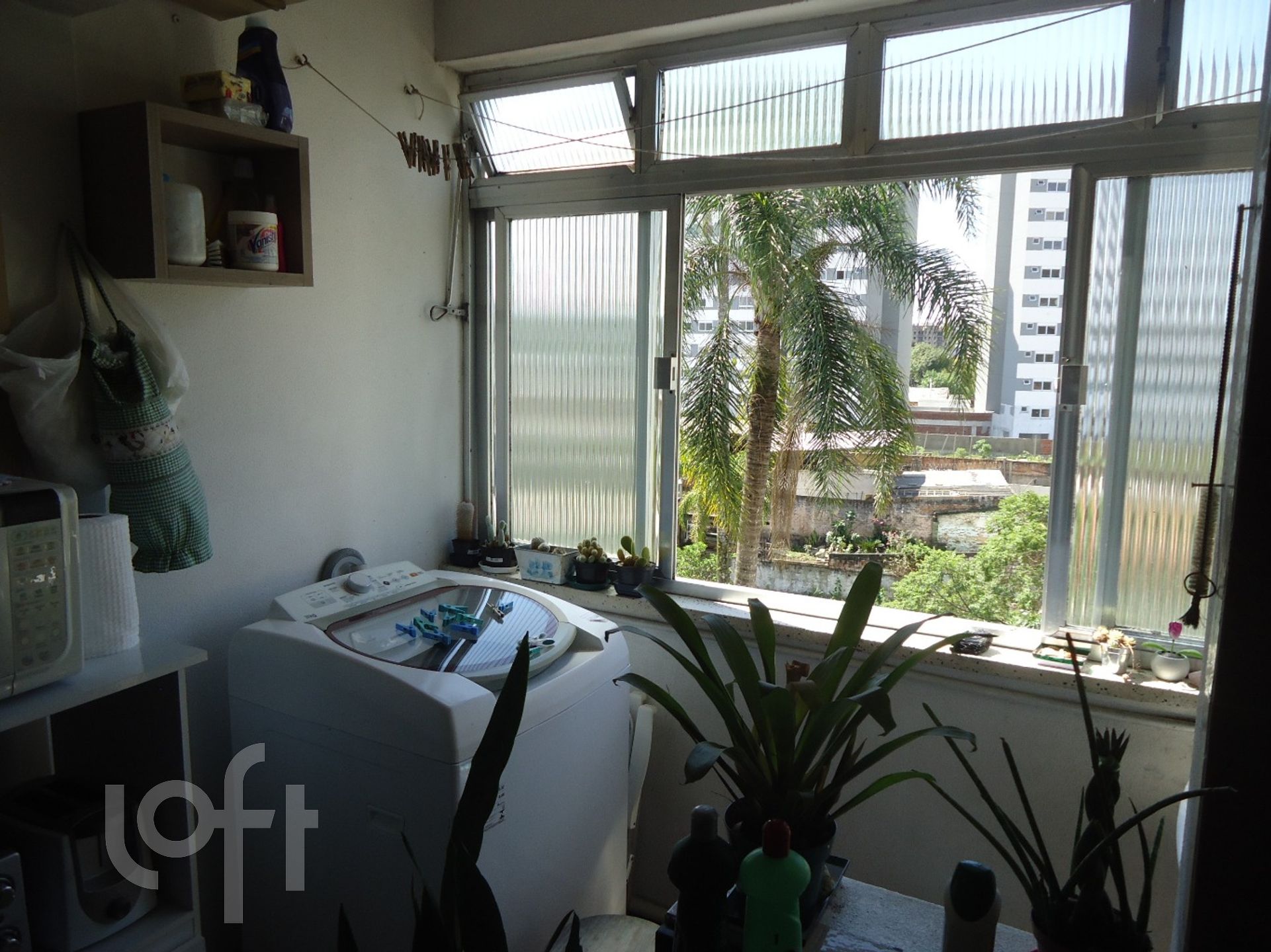 Imagem da propriedade 11