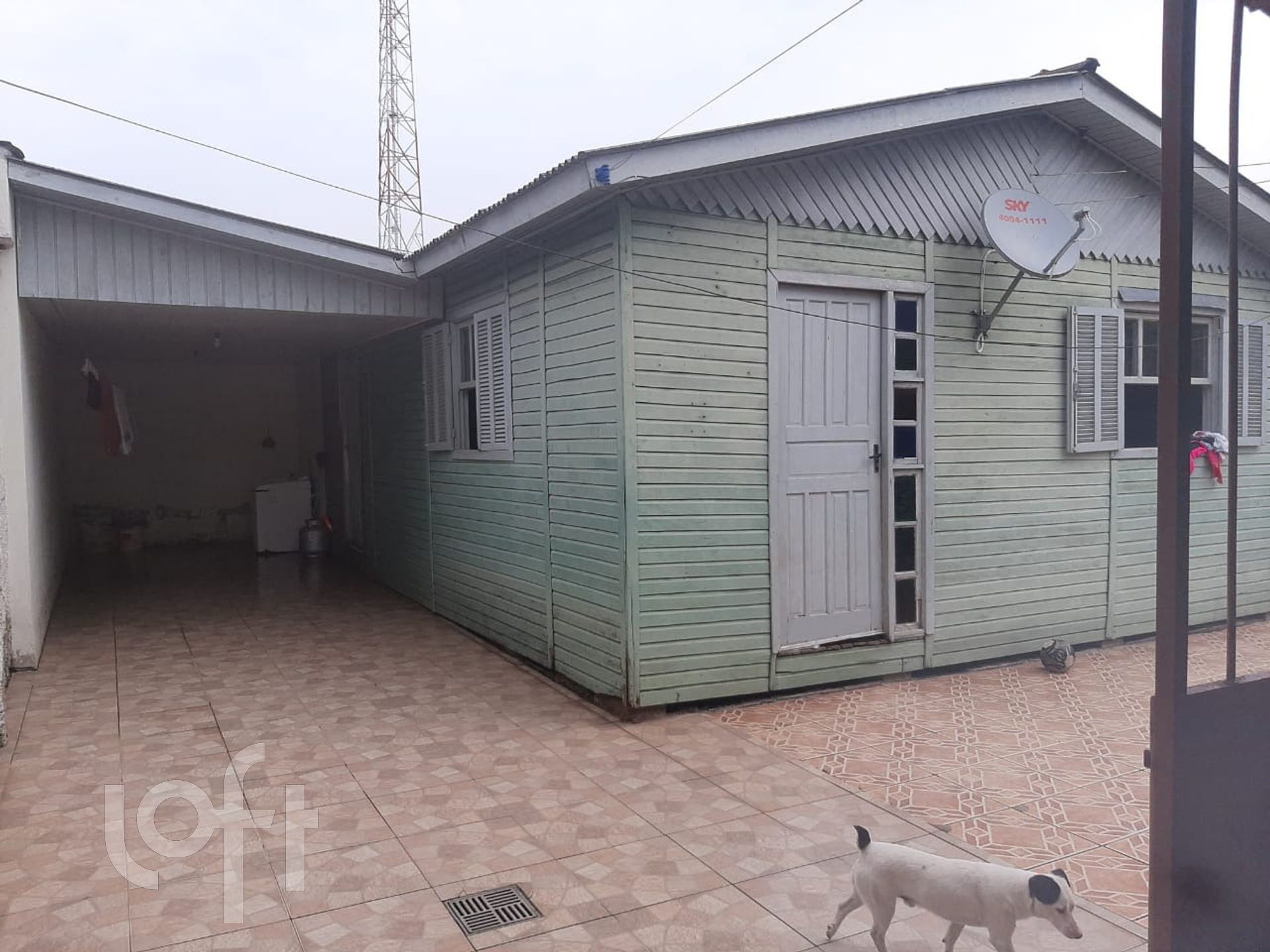 Imagem da propriedade 19