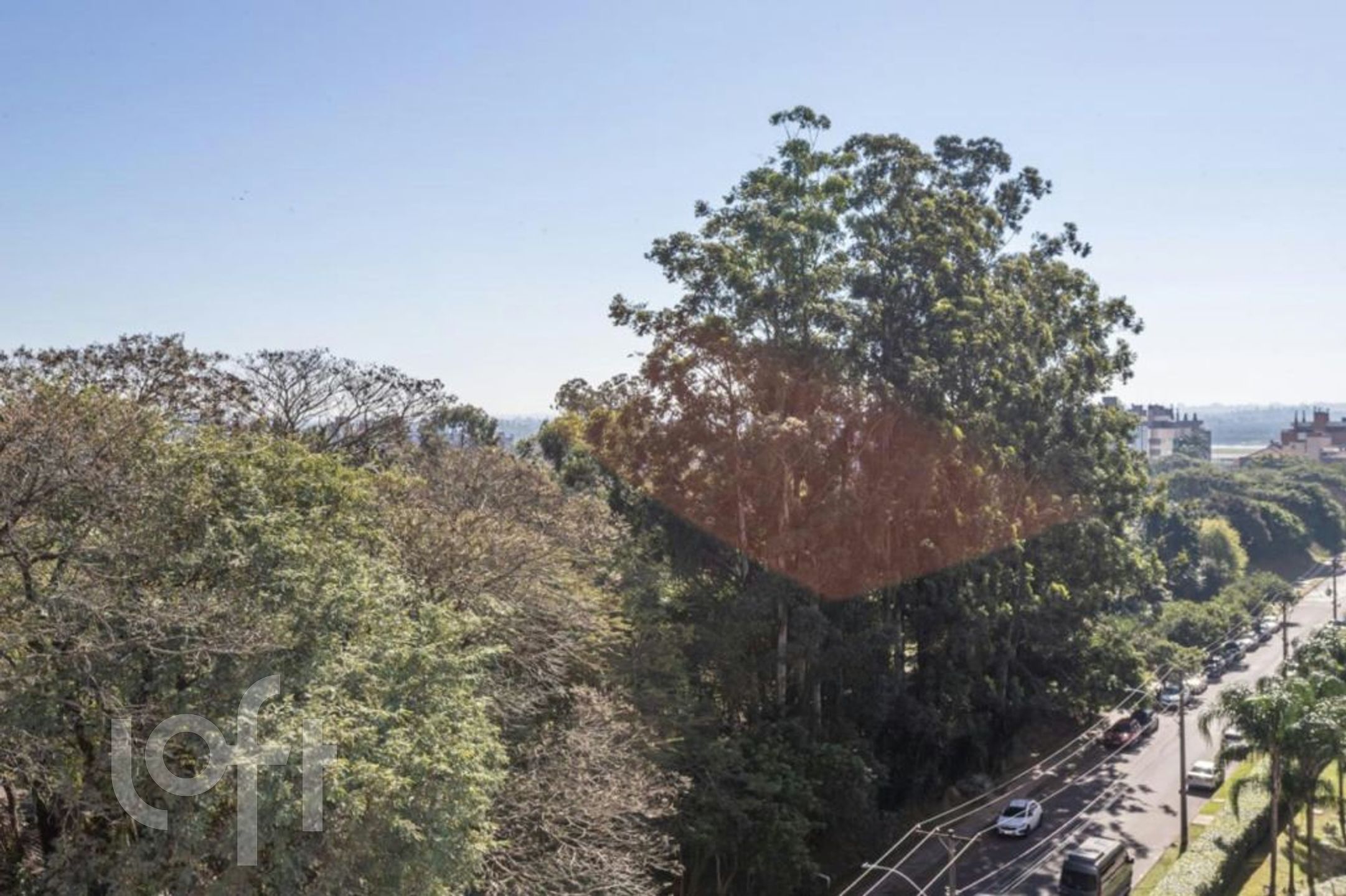 Imagem da propriedade 21