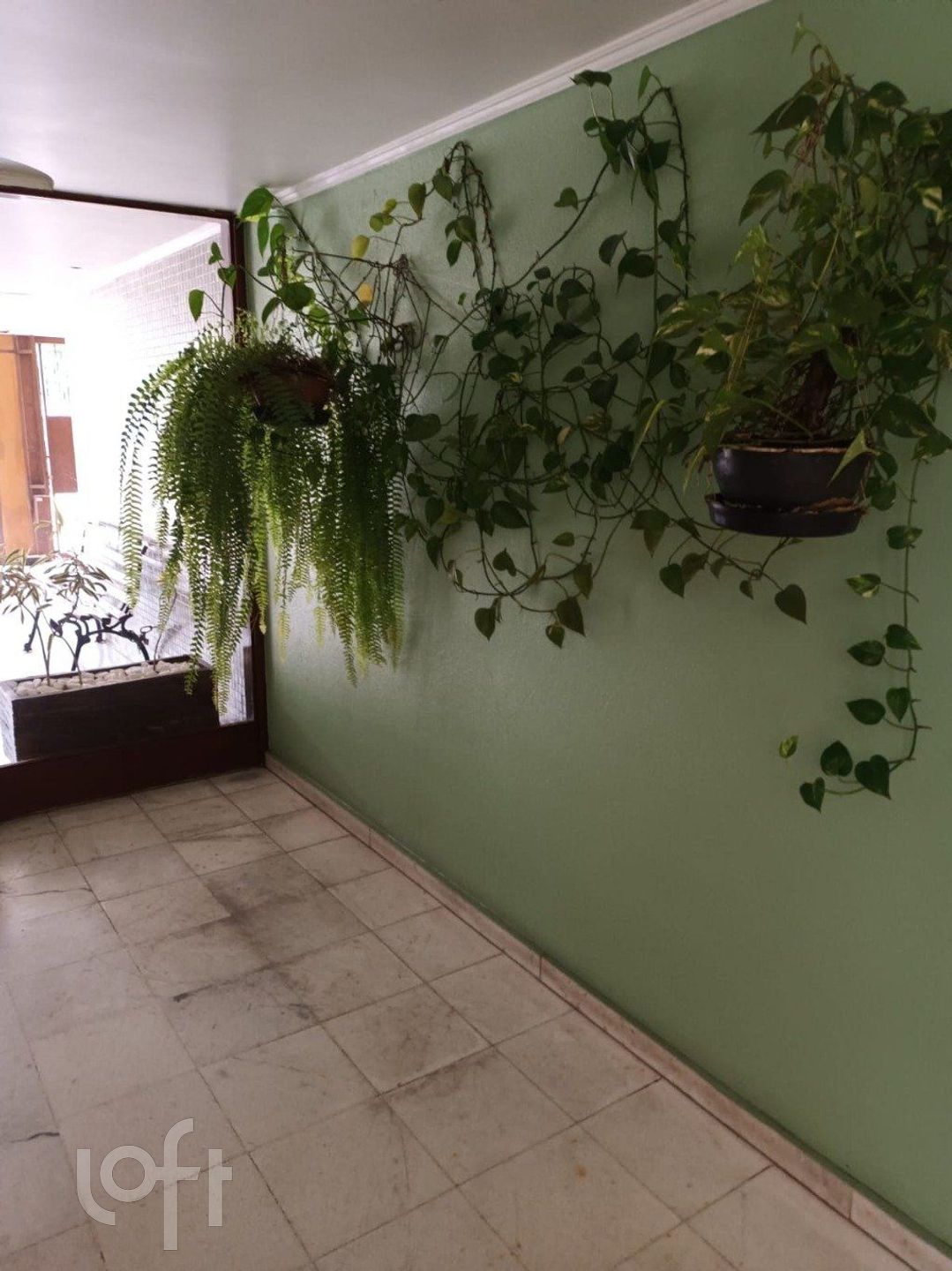 Imagem da propriedade 22