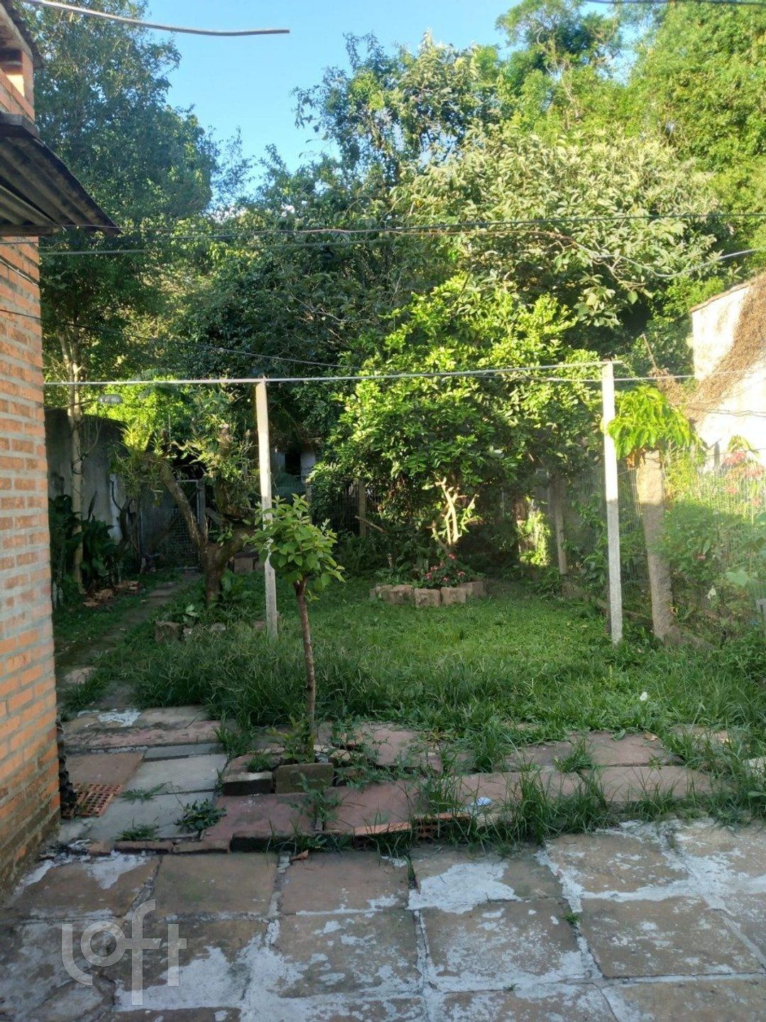 Imagem da propriedade 21