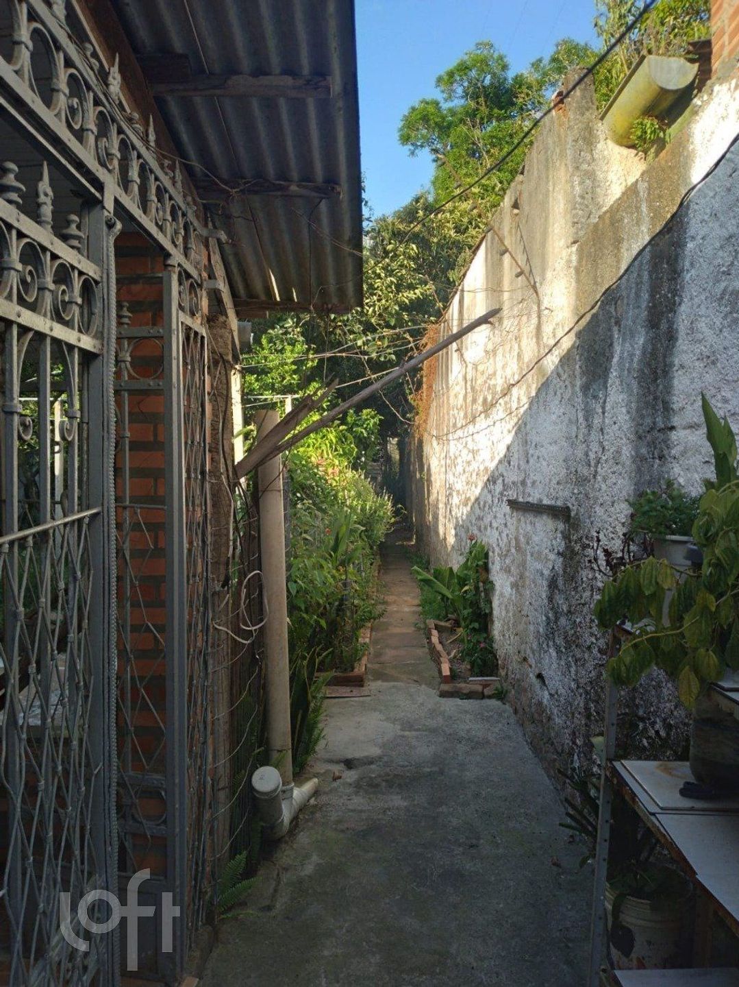 Imagem da propriedade 17