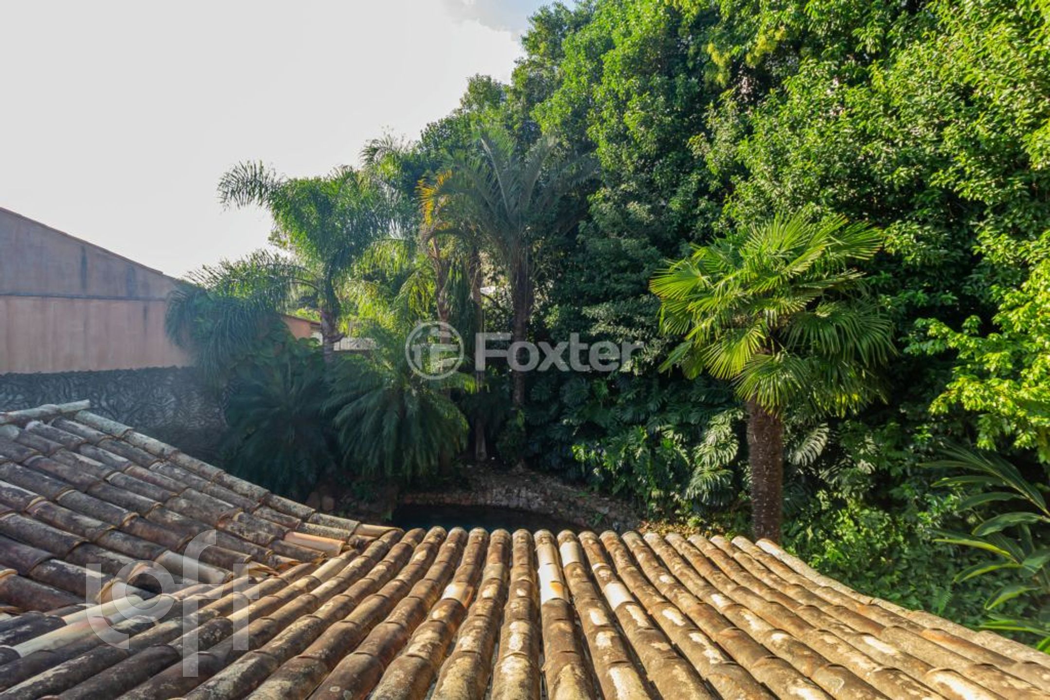 Imagem da propriedade 30