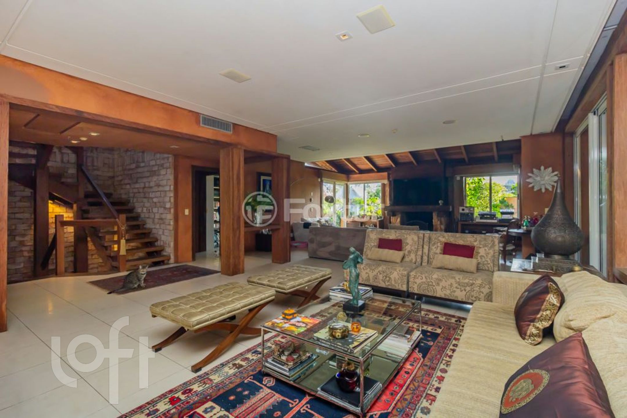 Imagem da propriedade 6