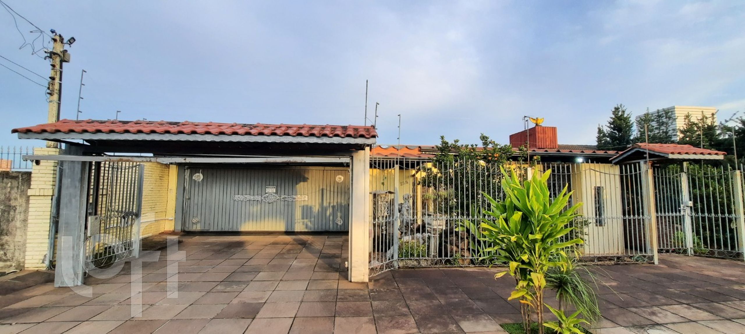 Imagem da propriedade 6