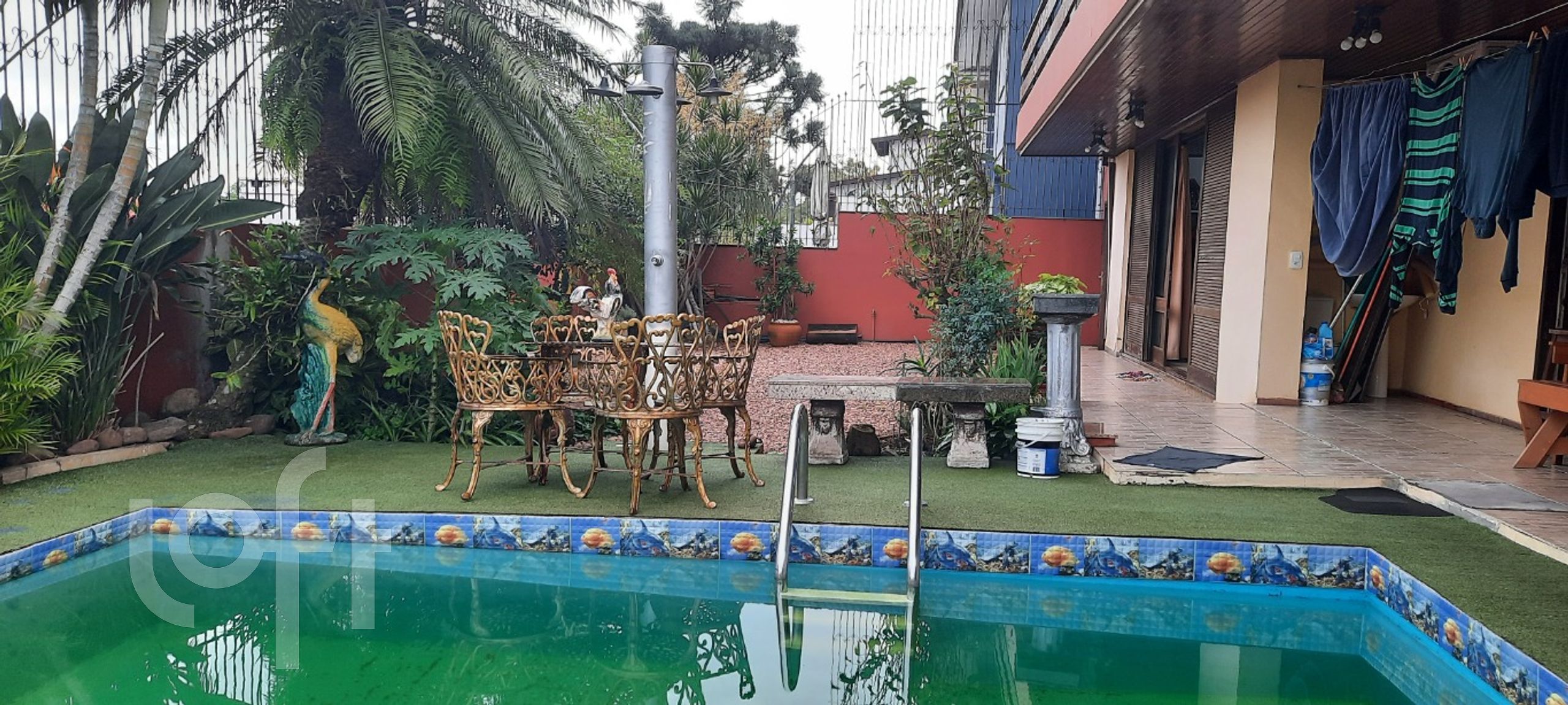 Imagem da propriedade 40