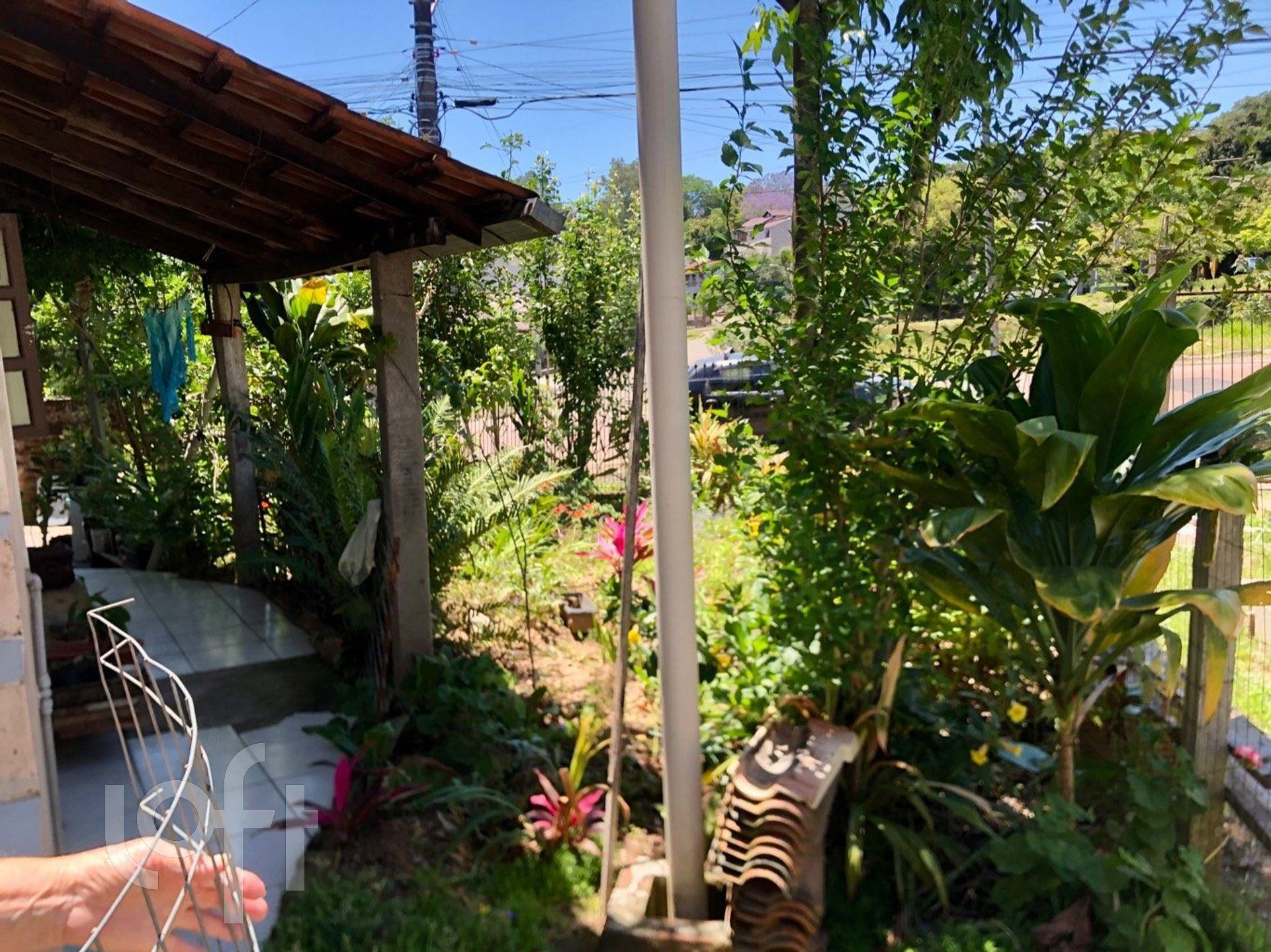 Imagem da propriedade 31