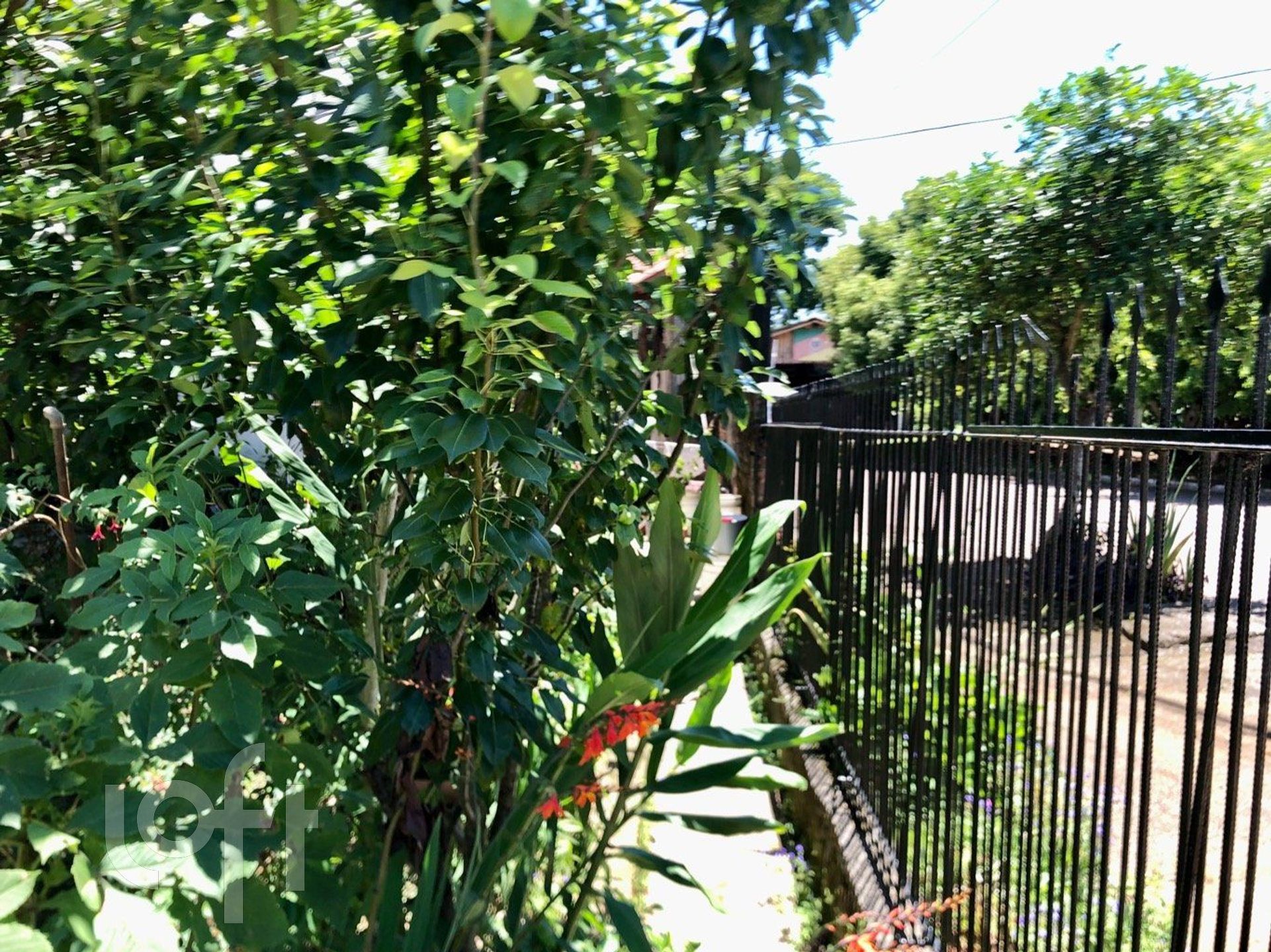 Imagem da propriedade 36