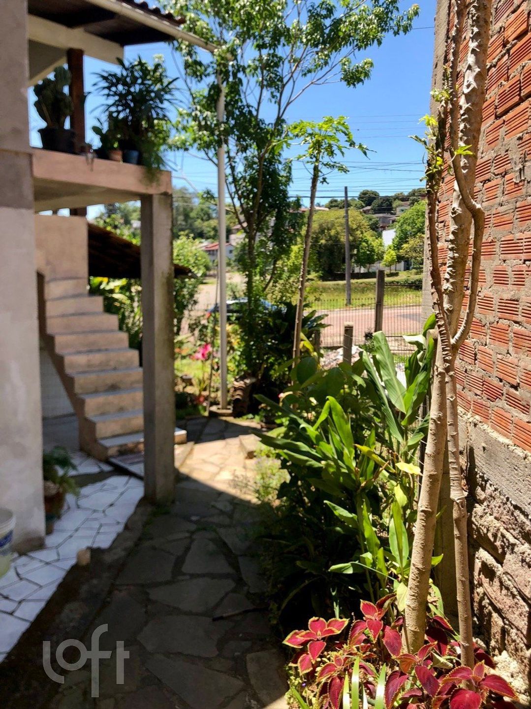 Imagem da propriedade 32