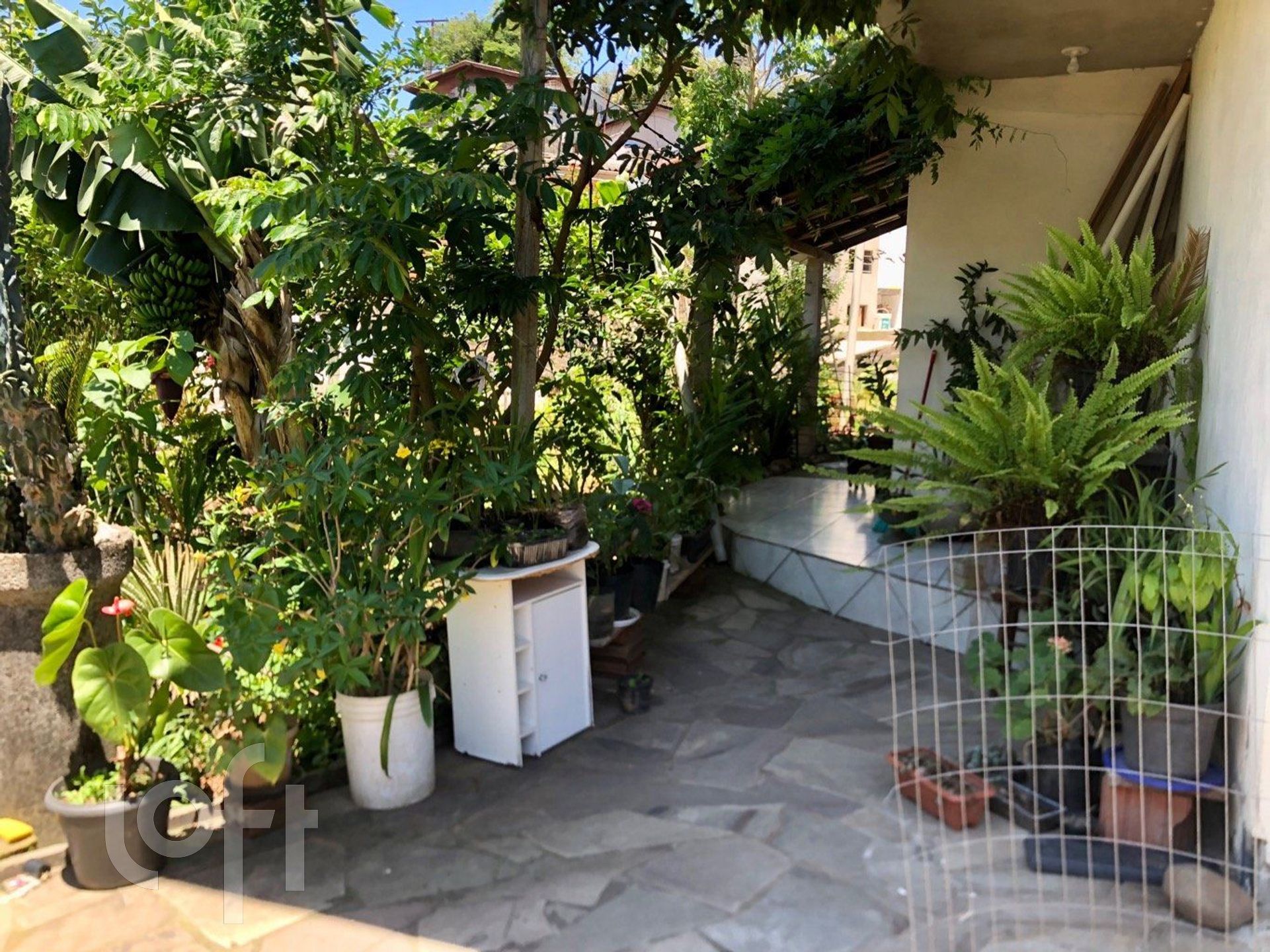 Imagem da propriedade 38