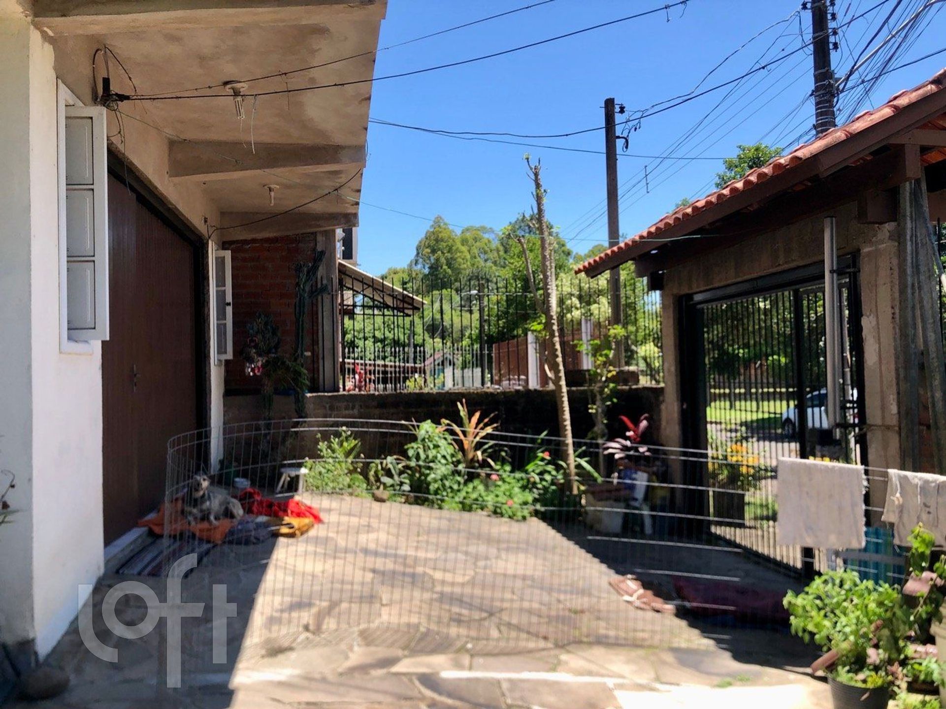 Imagem da propriedade 37