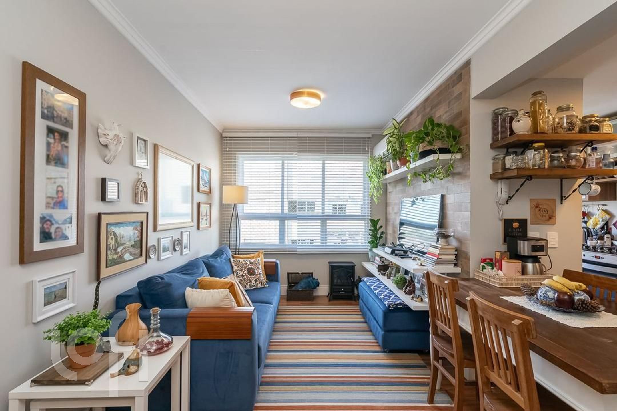 Imagem da propriedade 3