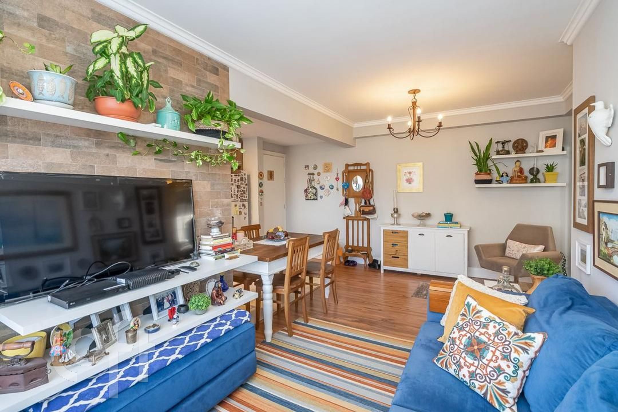 Imagem da propriedade 8