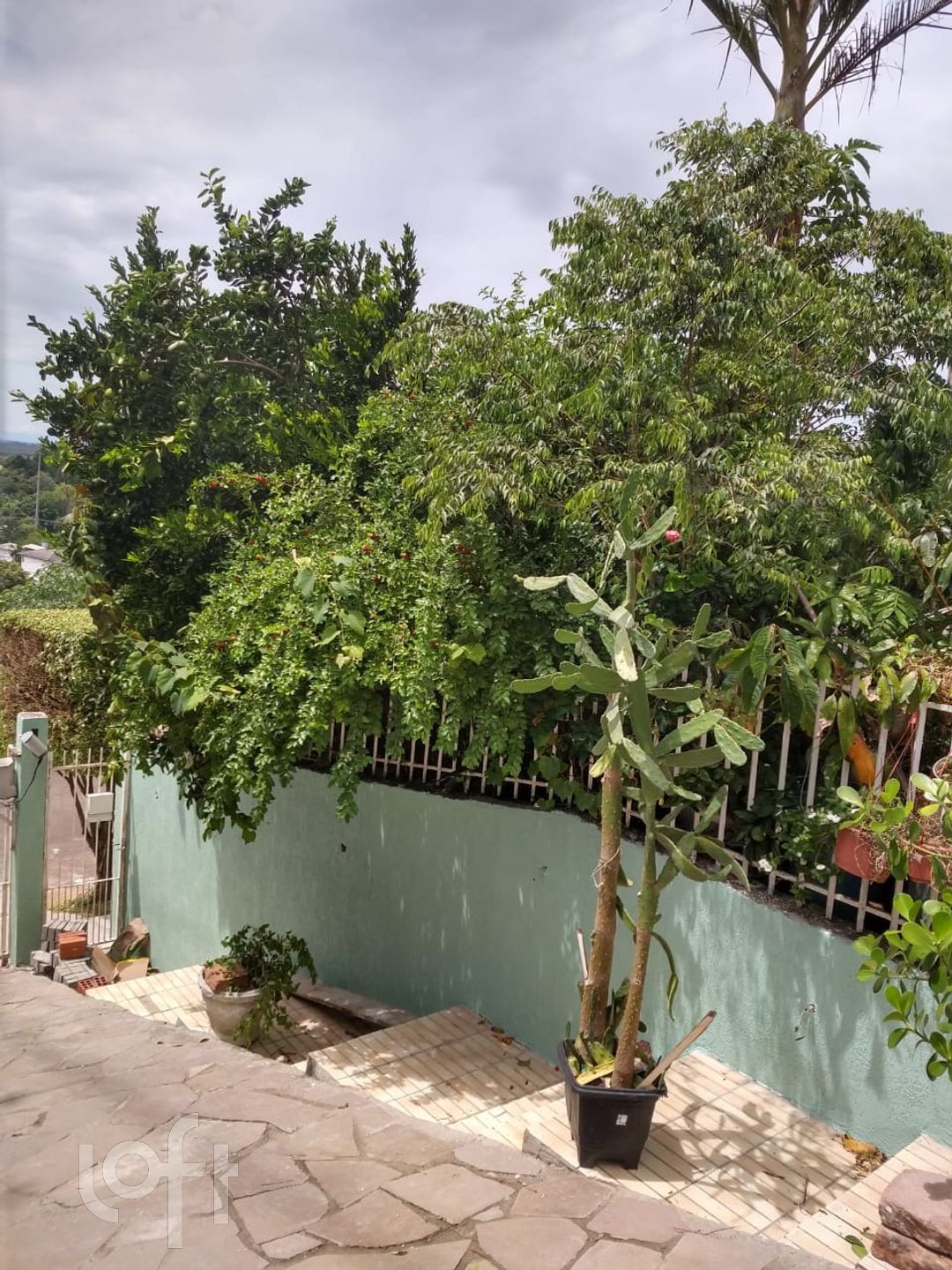 Imagem da propriedade 8