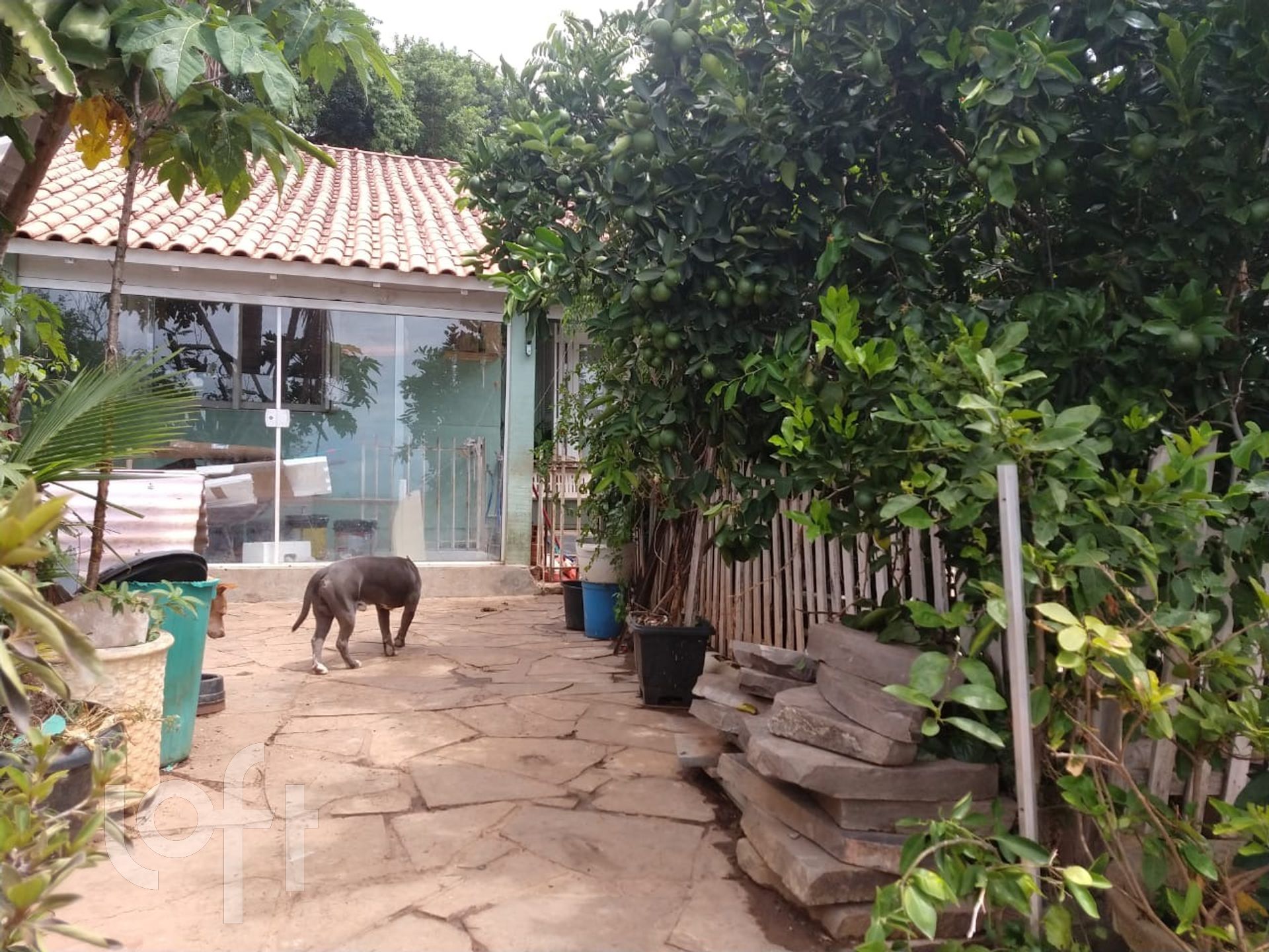 Imagem da propriedade 2