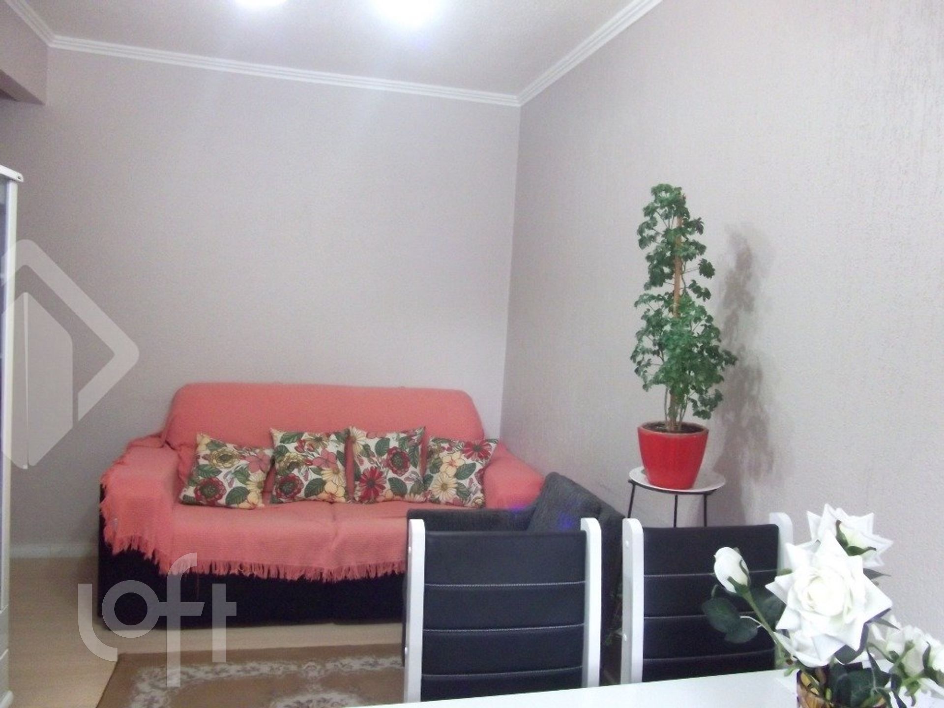 Imagem da propriedade 3