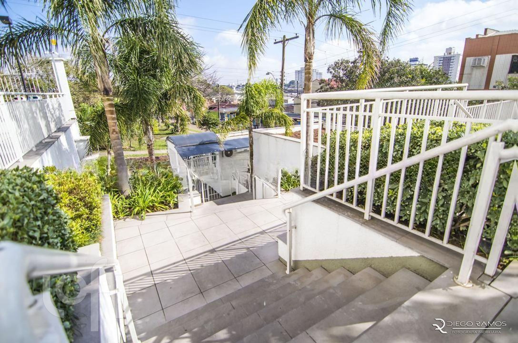 Imagem da propriedade 27