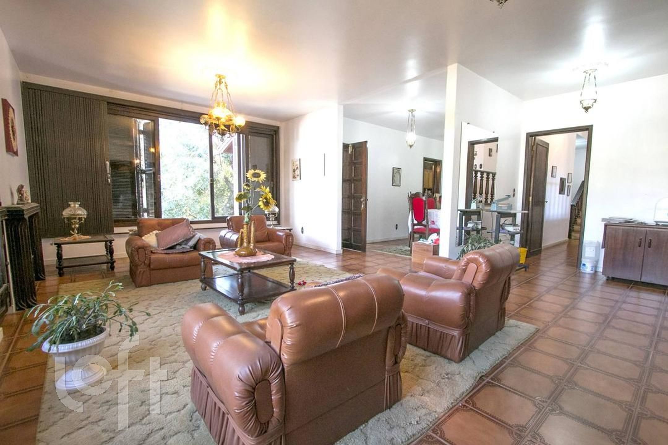 Imagem da propriedade 6