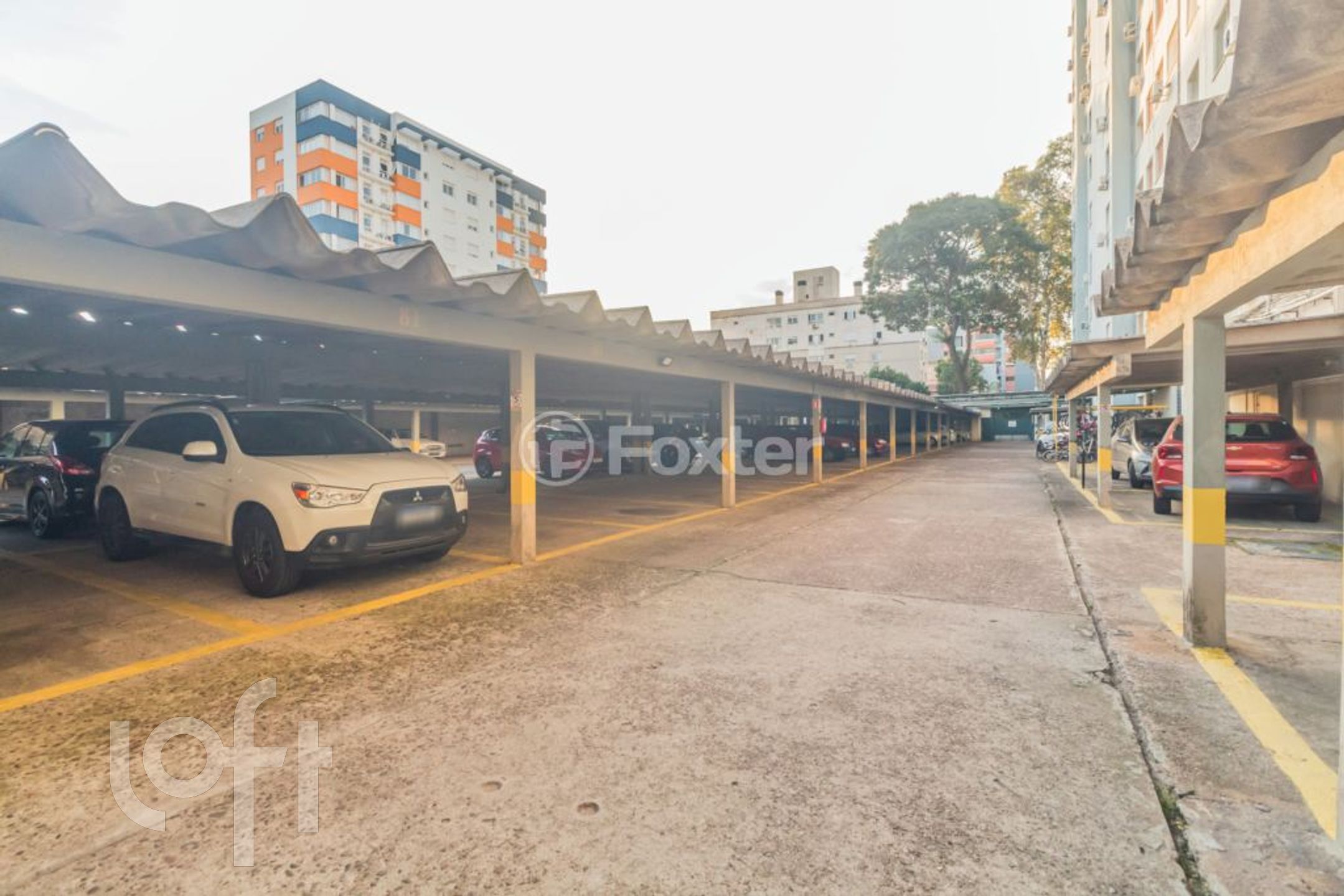 Imagem da propriedade 17