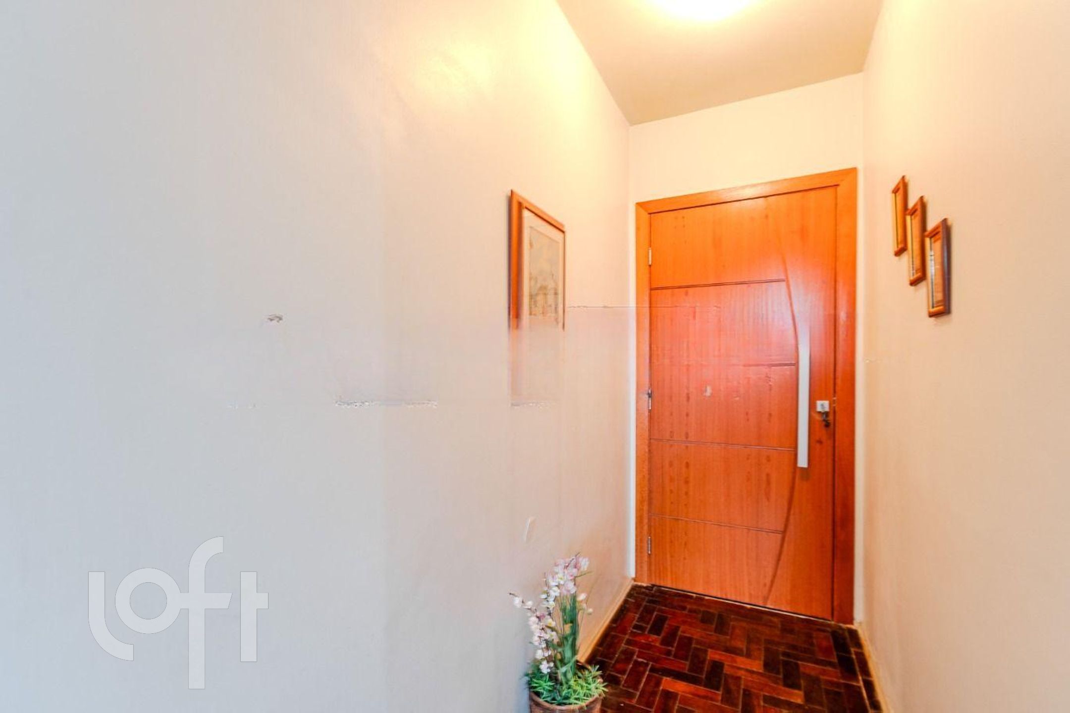 Imagem da propriedade 4