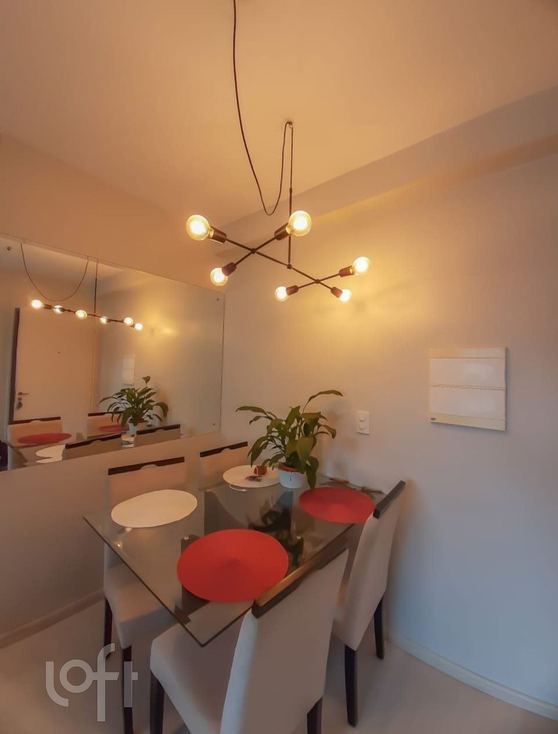 Imagem da propriedade 6