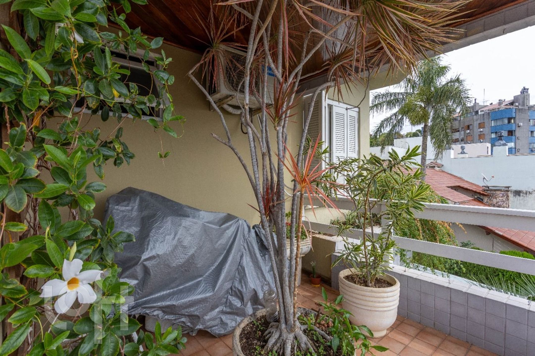 Imagem da propriedade 44