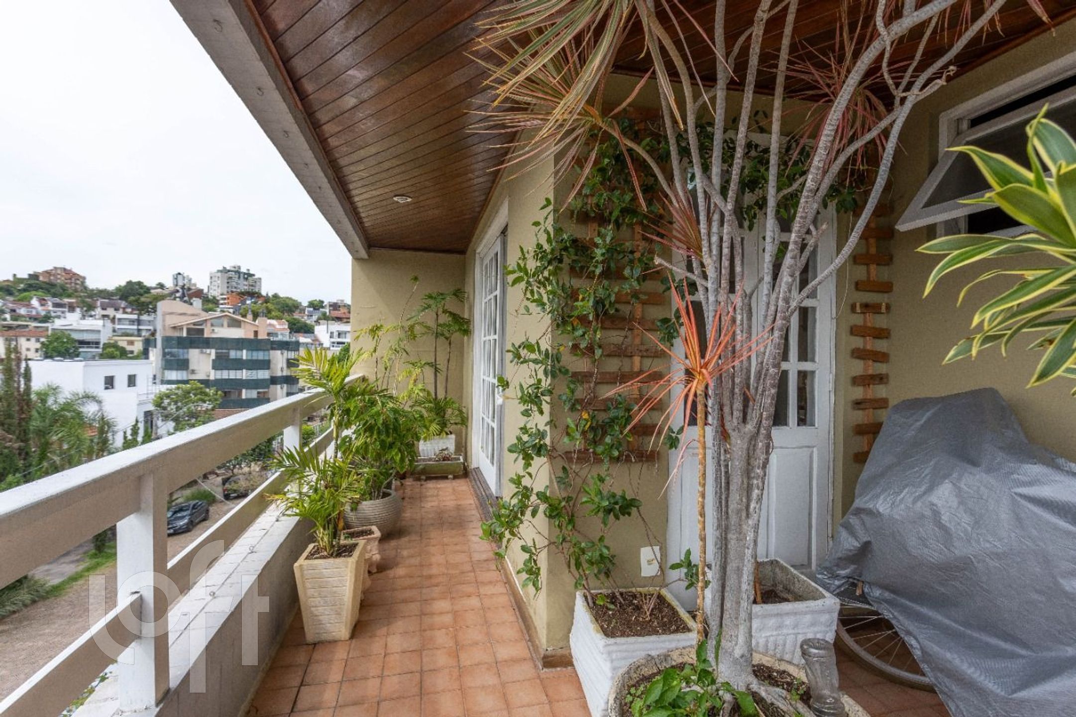 Imagem da propriedade 38