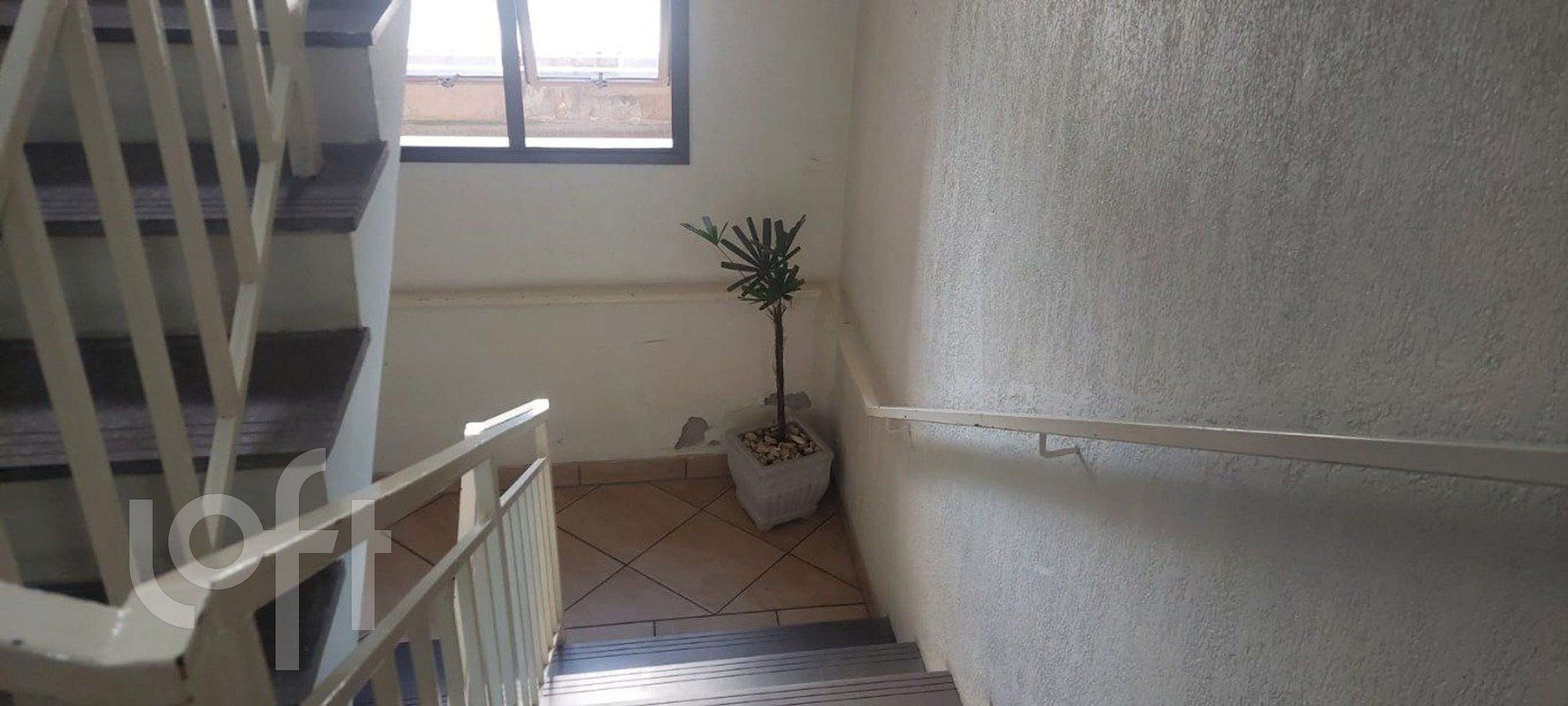 Imagem da propriedade 38