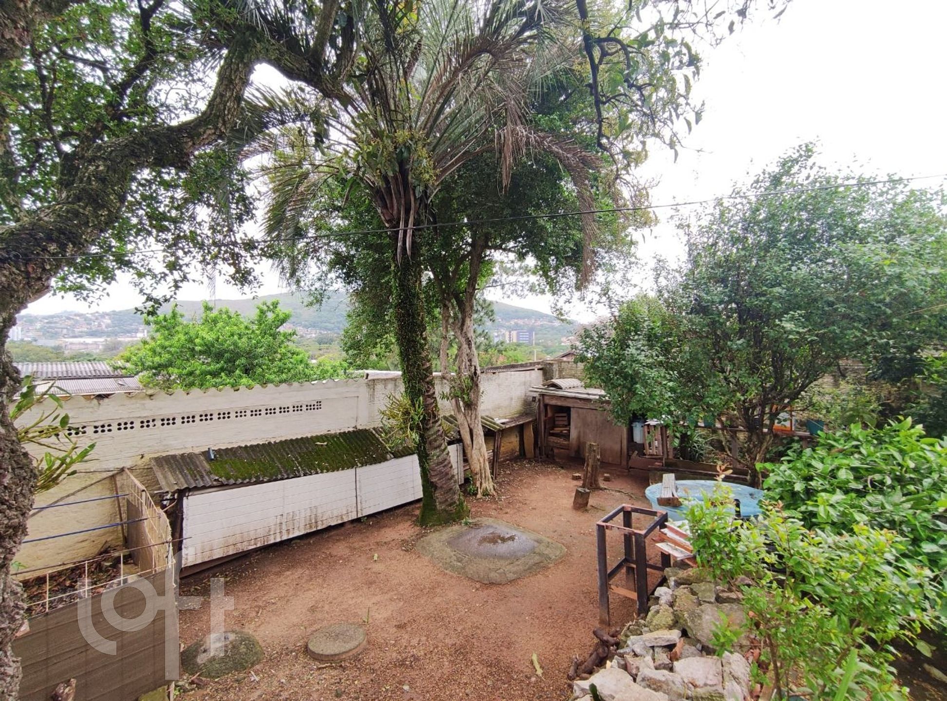 Imagem da propriedade 28