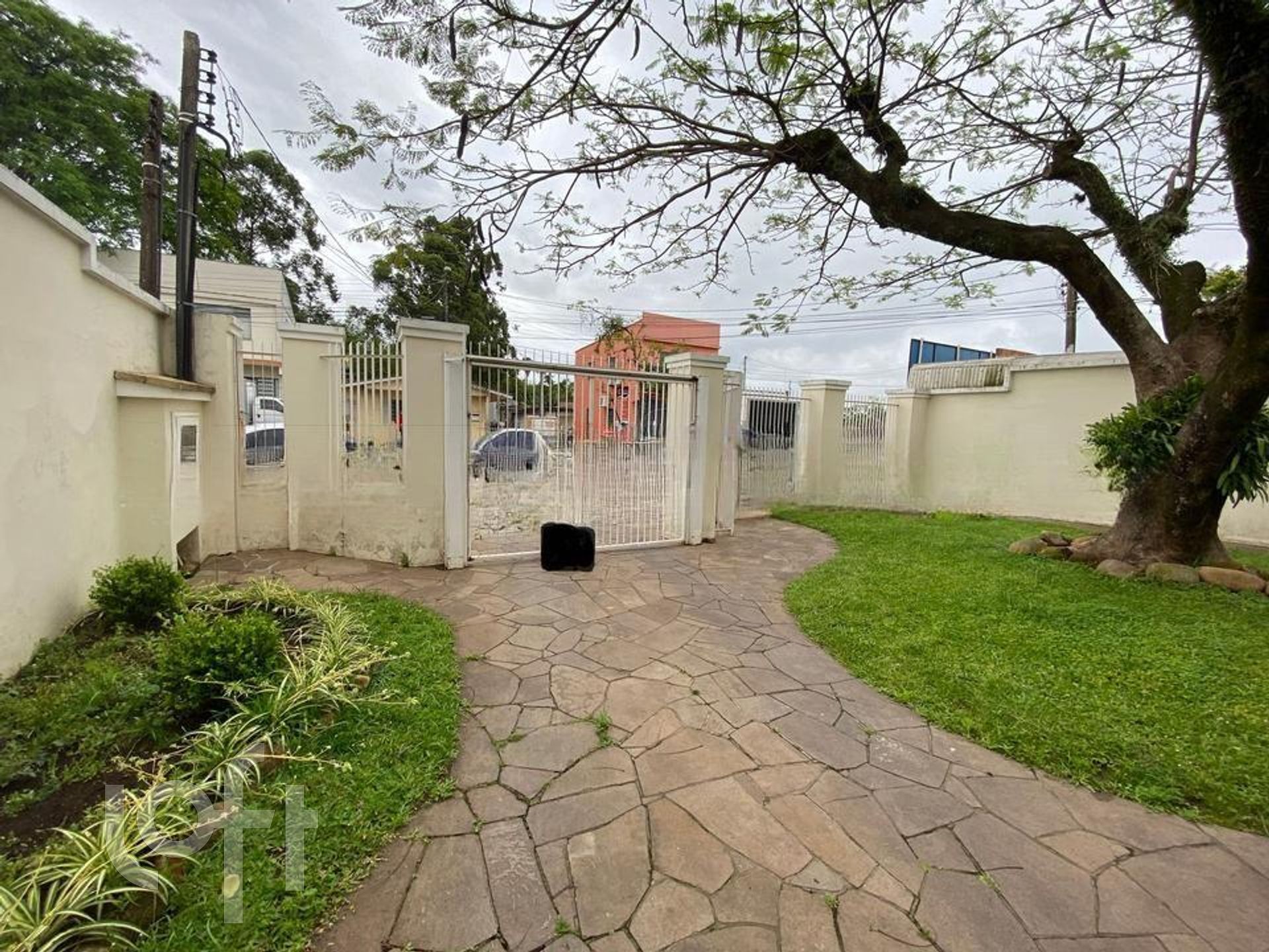 Imagem da propriedade 28