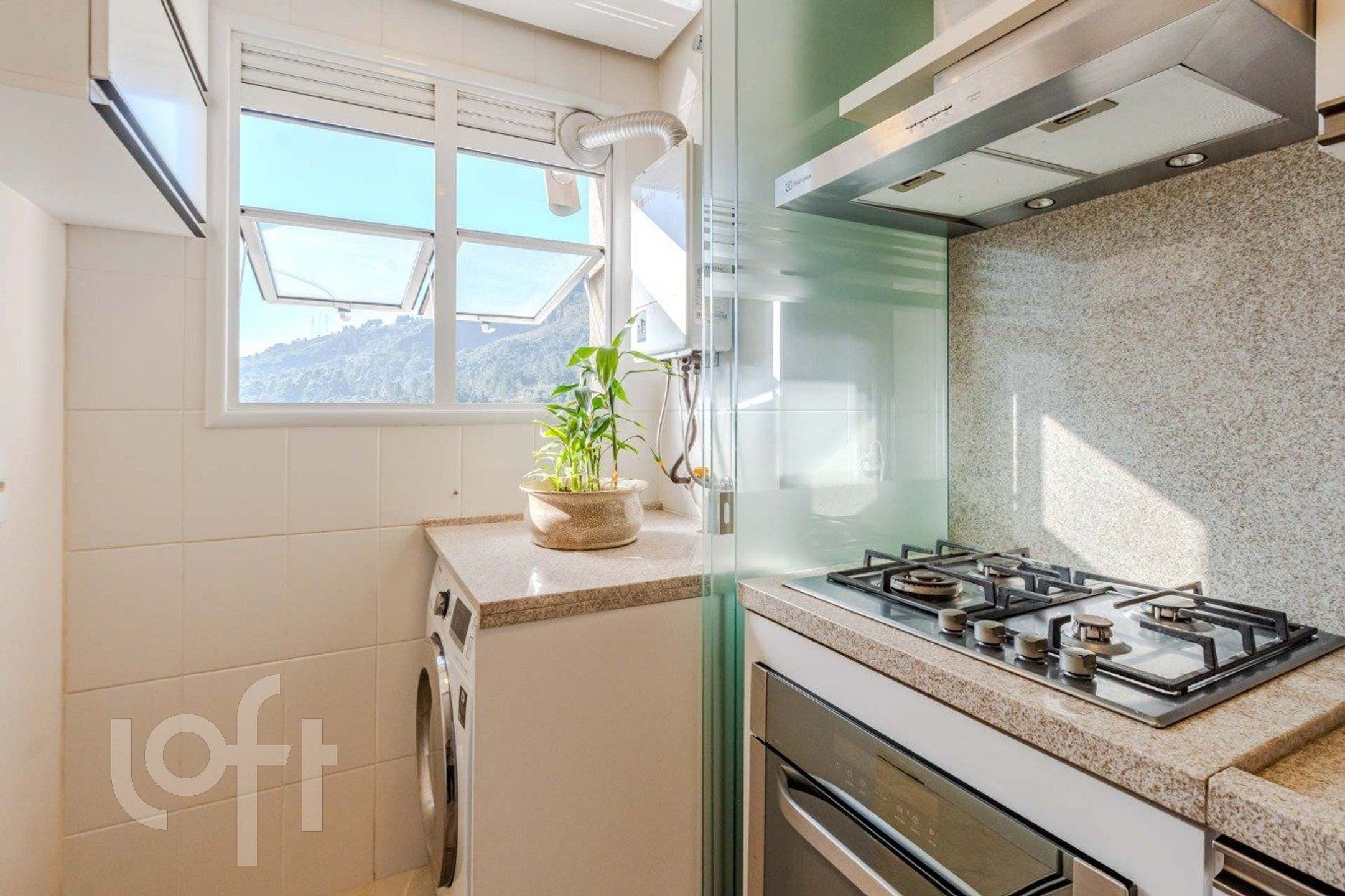 Imagem da propriedade 15