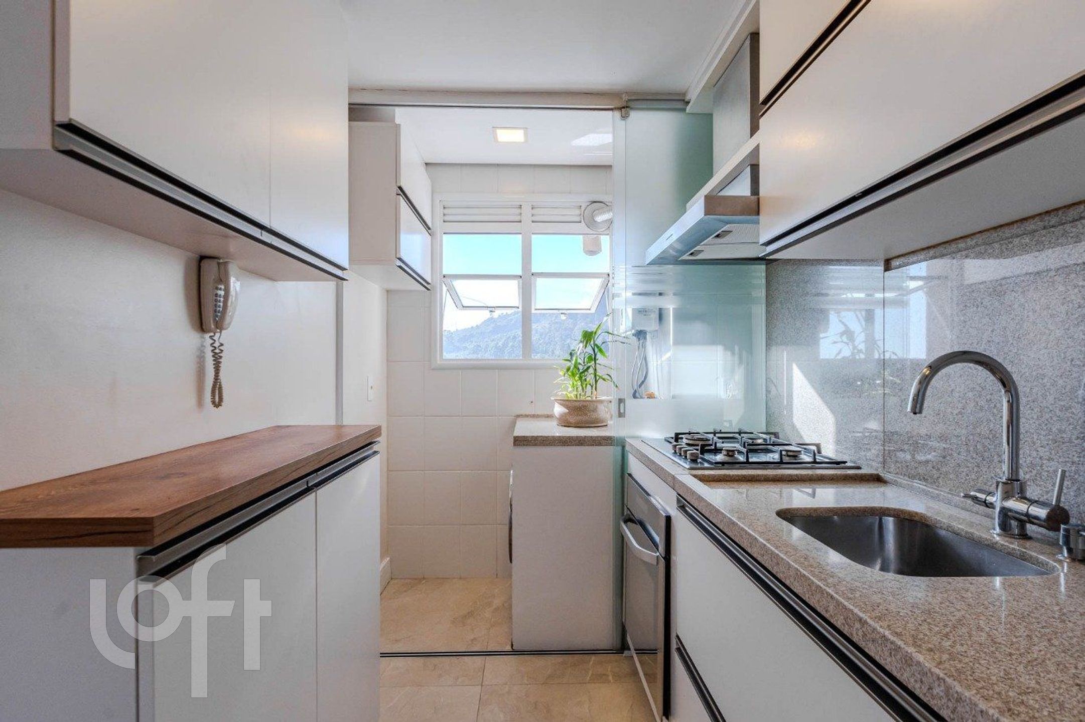 Imagem da propriedade 11