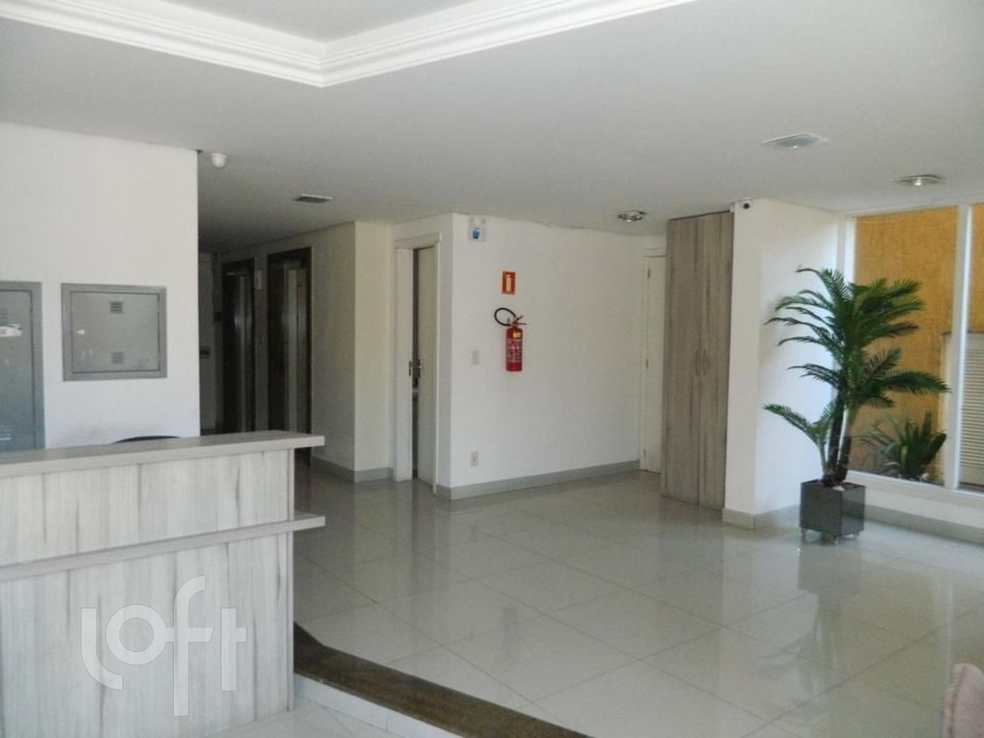 Imagem da propriedade 10